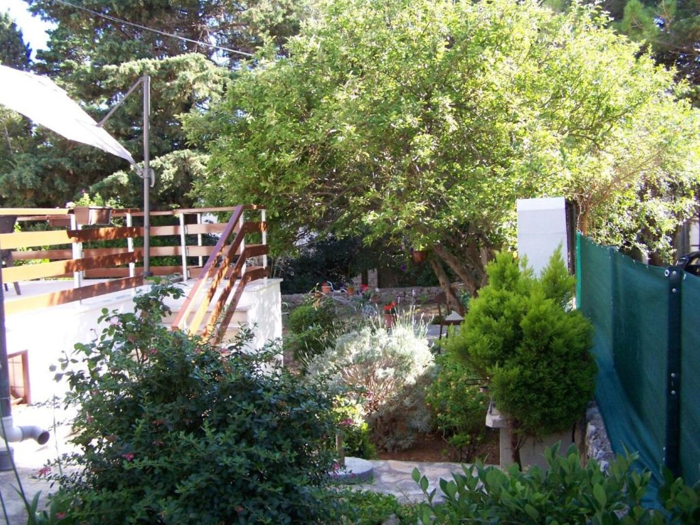 Apartments Maja 111851-A1