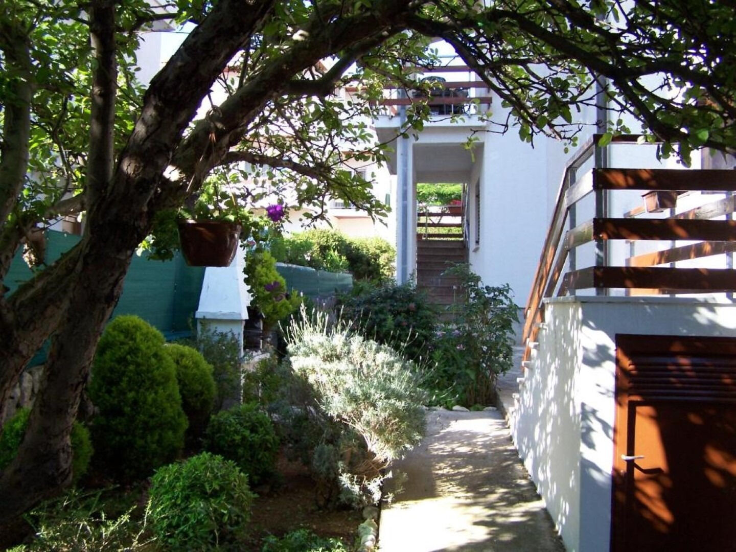 Apartments Maja 111851-A1