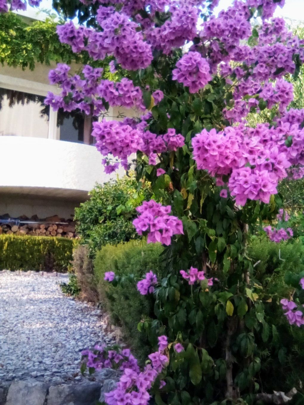 Apartment Viki 11208-A1