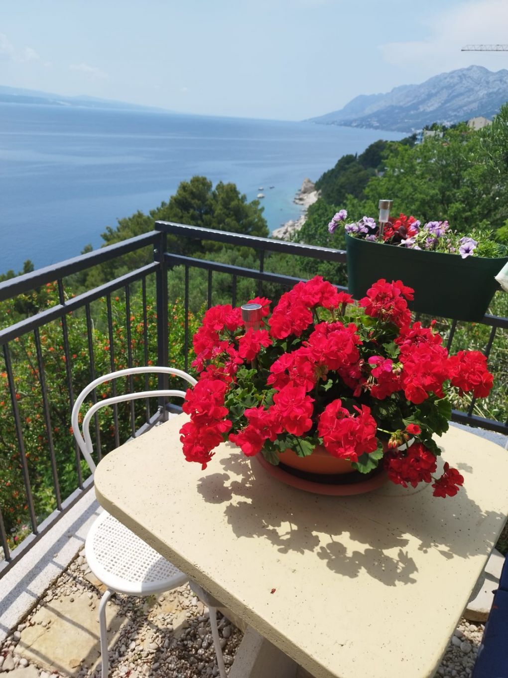 Apartments Mare 112111-A2