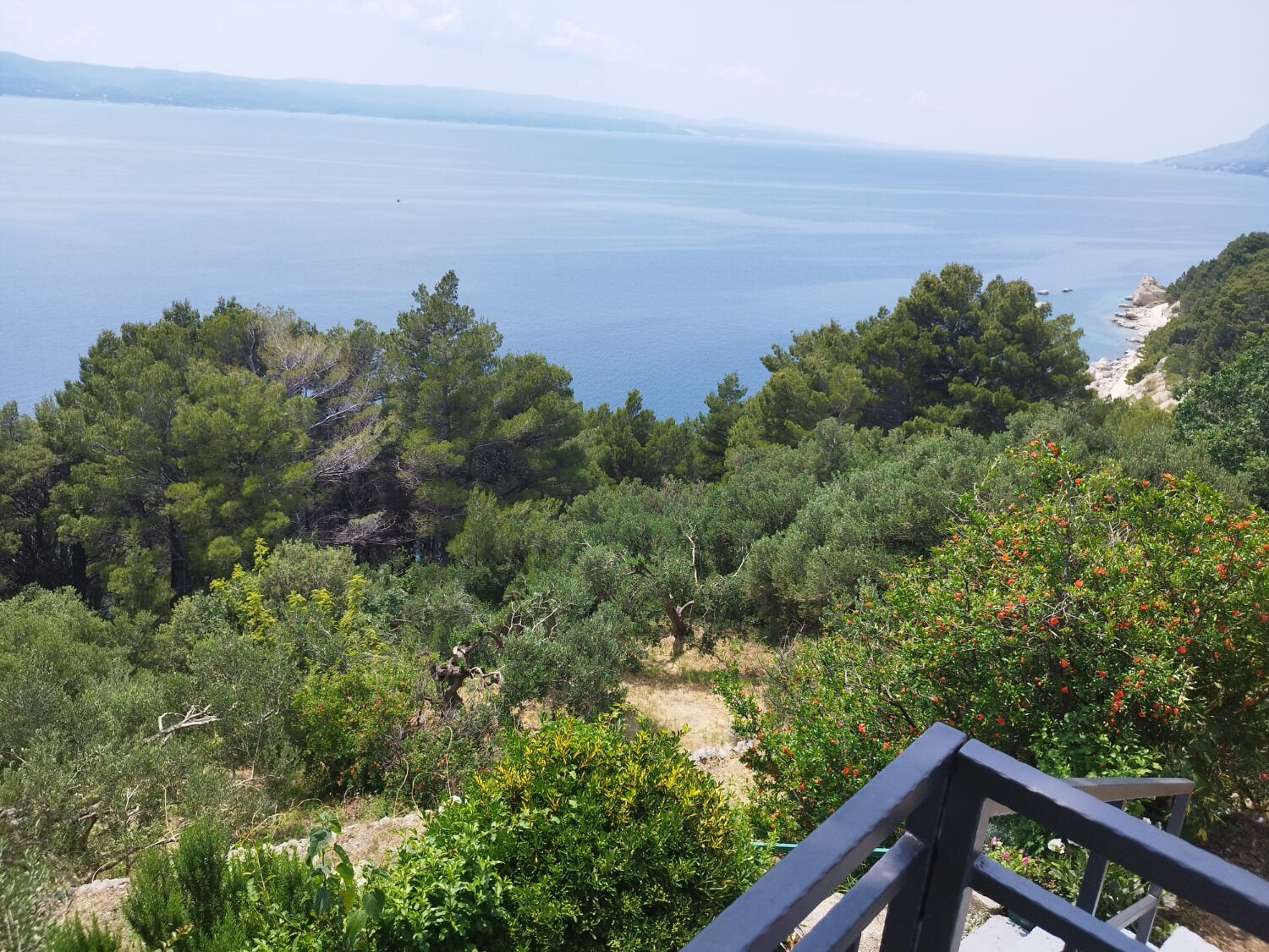 Apartments Mare 112111-A3