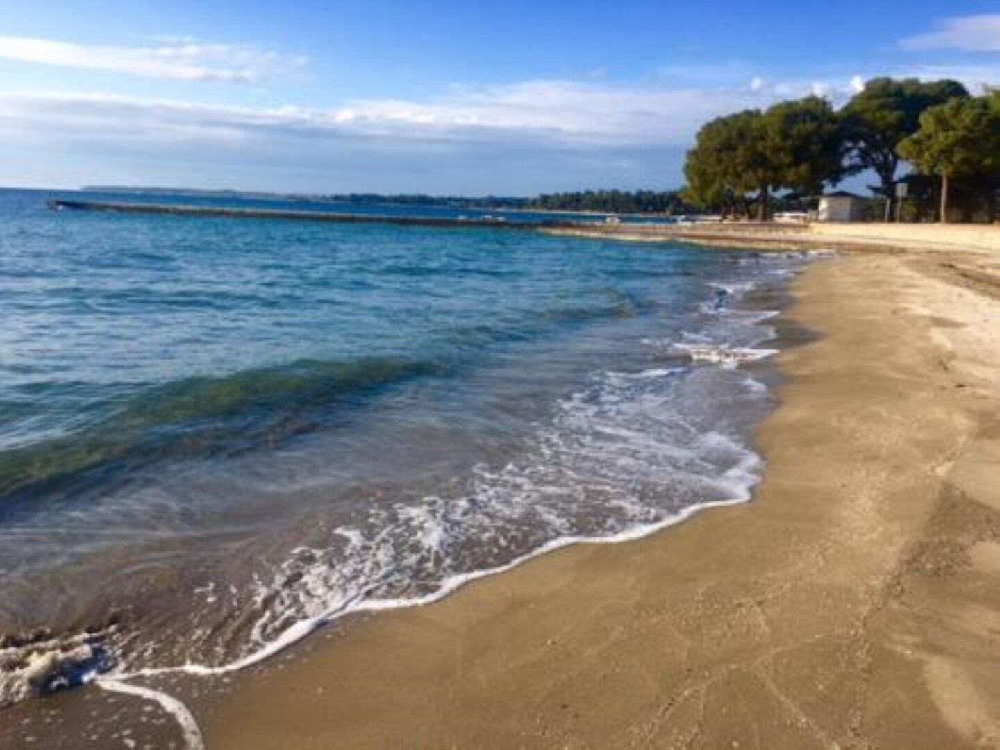 Photo of Apartments Noel