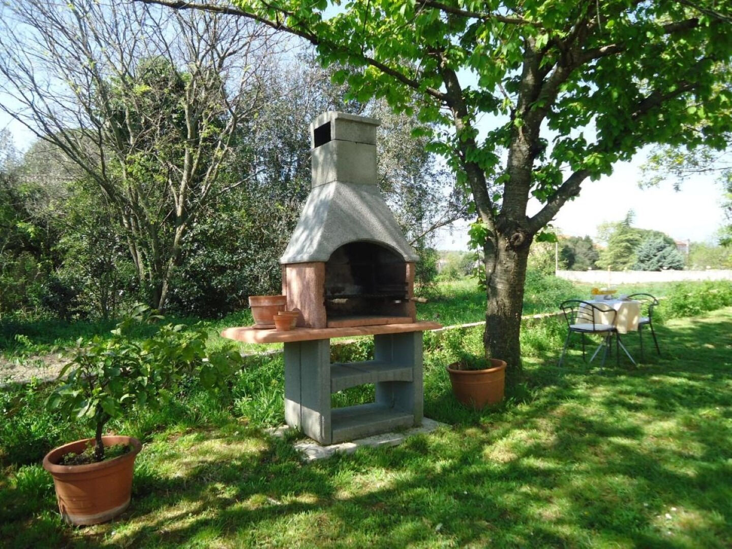 Photo of Apartments Lion