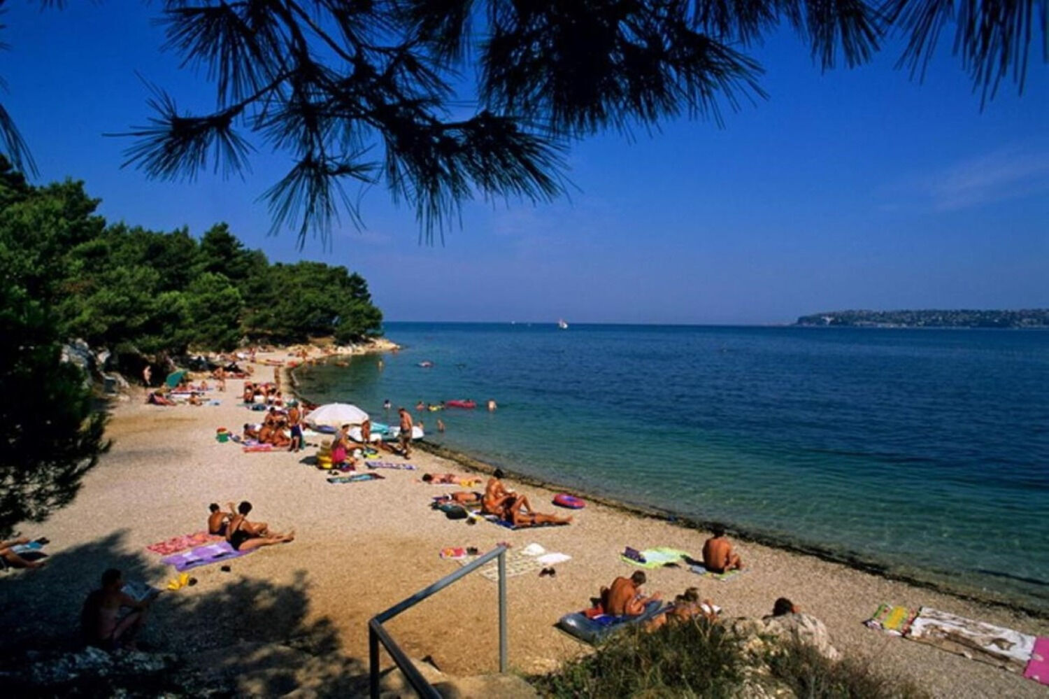 Photo of Apartments Lion