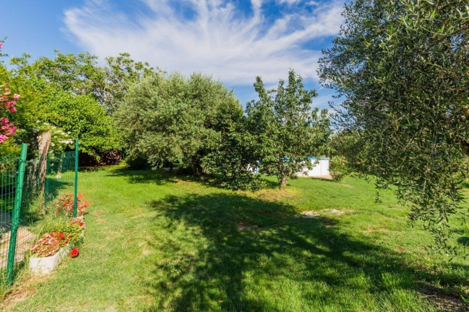 Apartment Lili 11239-A1