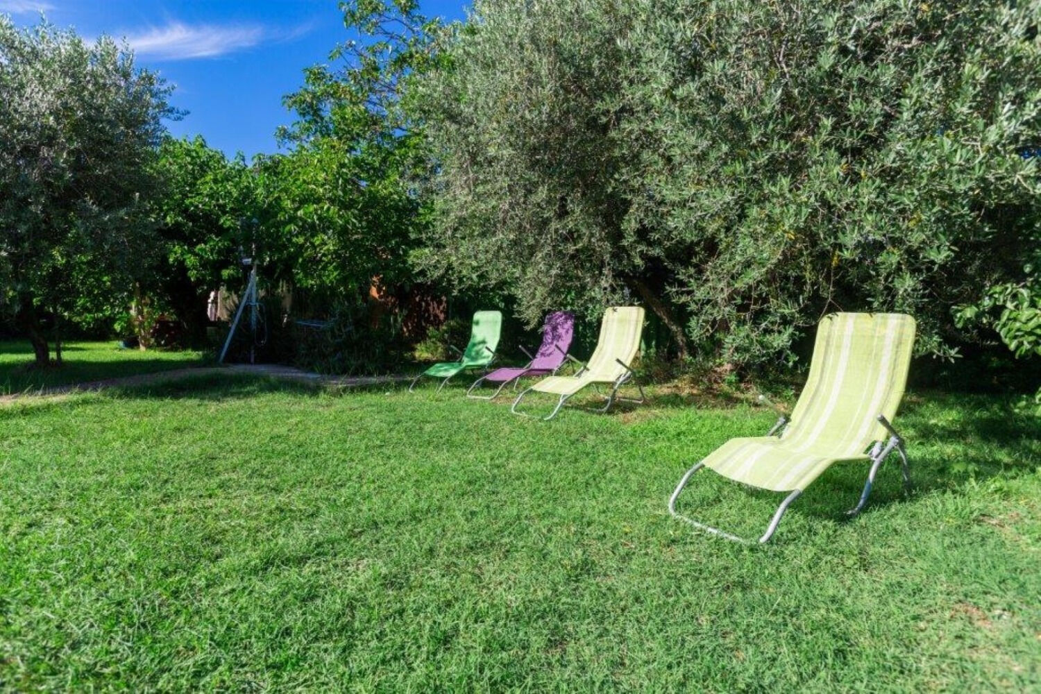 Apartment Lili 11239-A1