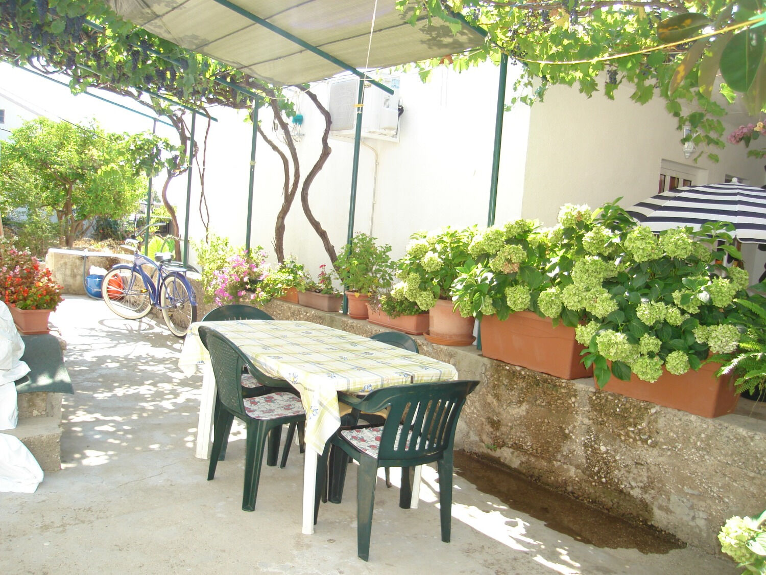 Apartment Smi 11246-A1