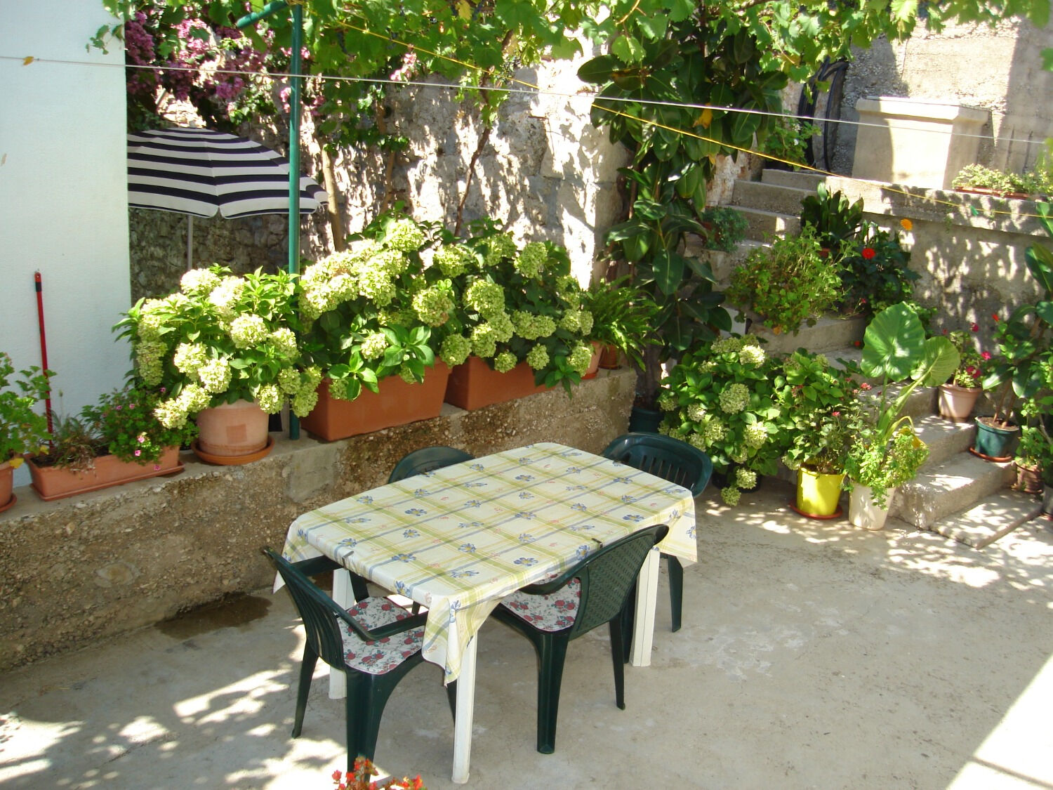 Apartment Smi 11246-A1