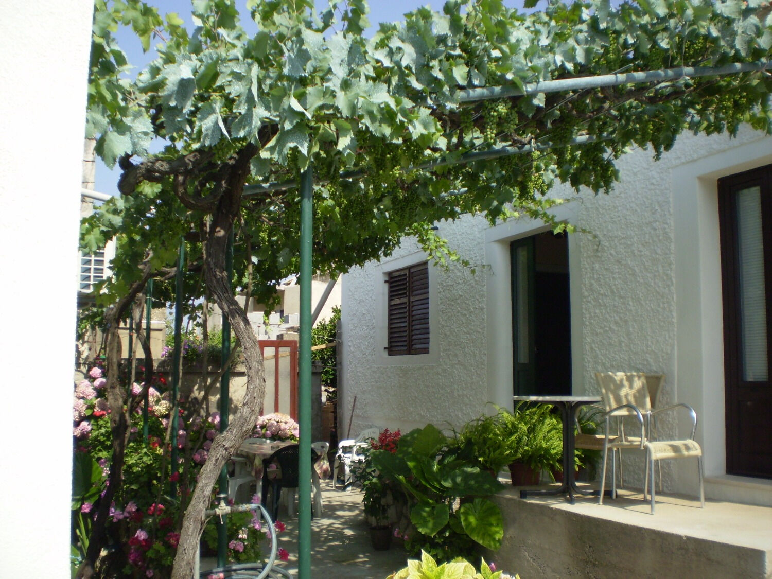 Apartment Smi 11246-A1