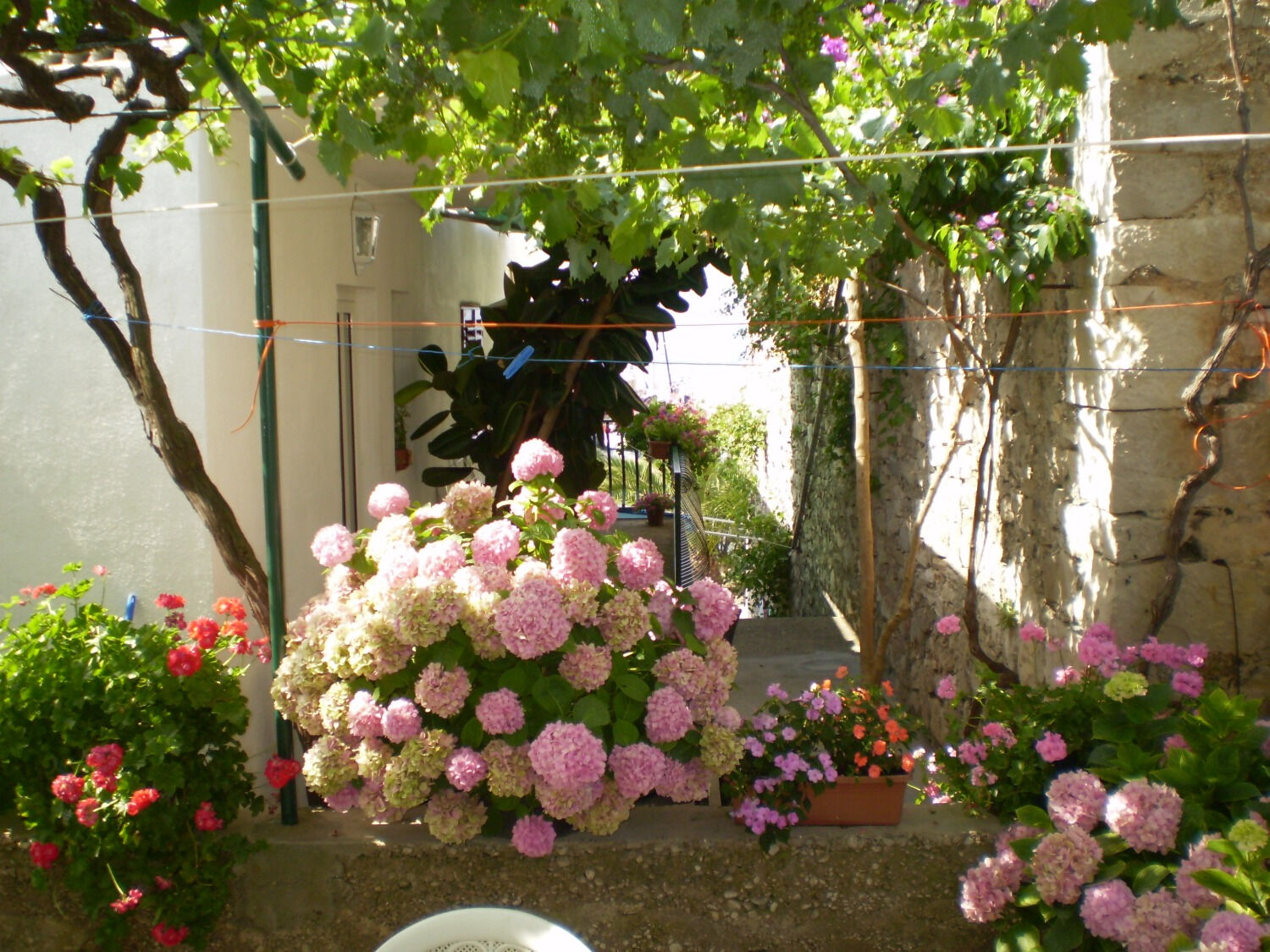 Apartment Smi 11246-A1