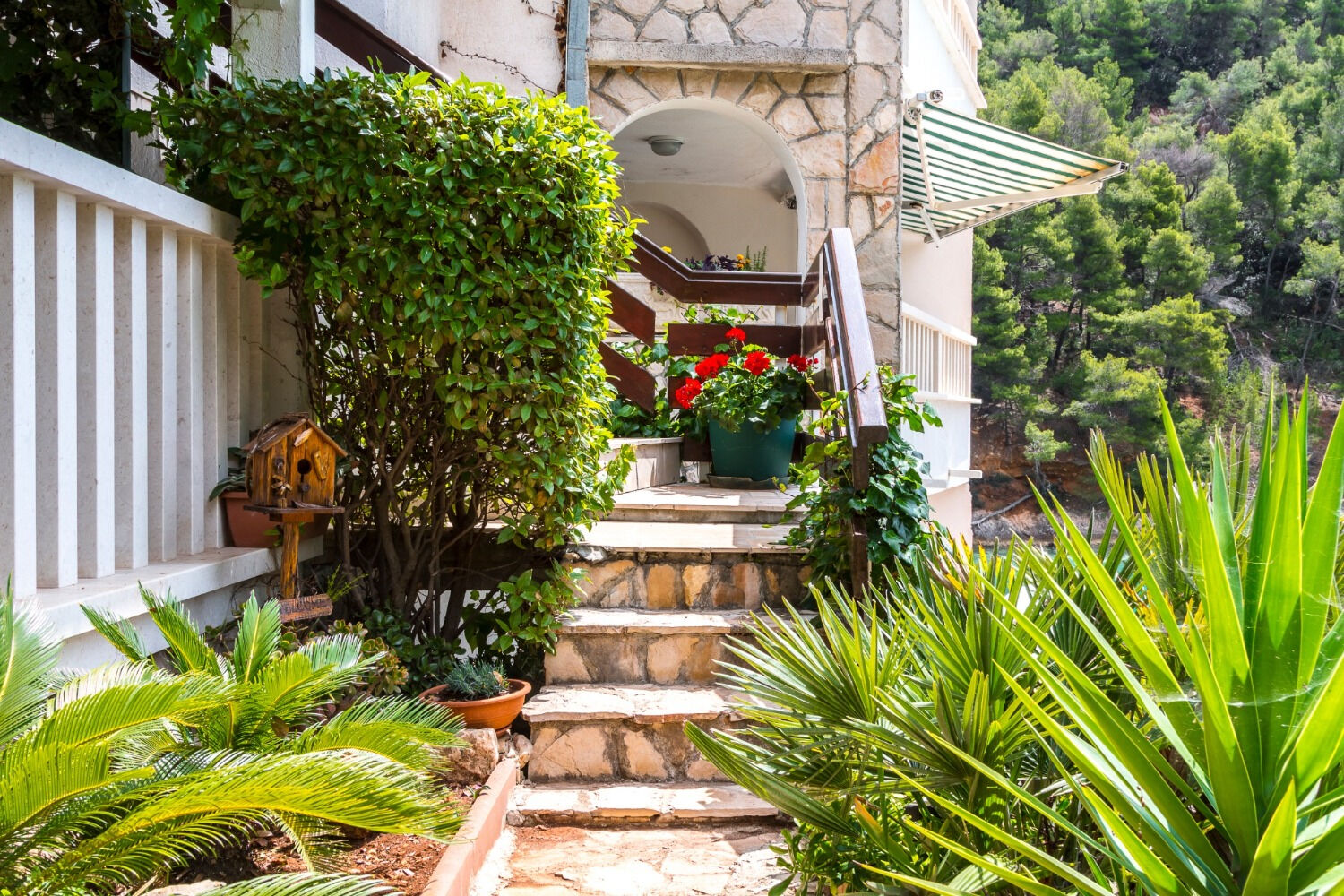 Apartments Hidden gem 11248-A3