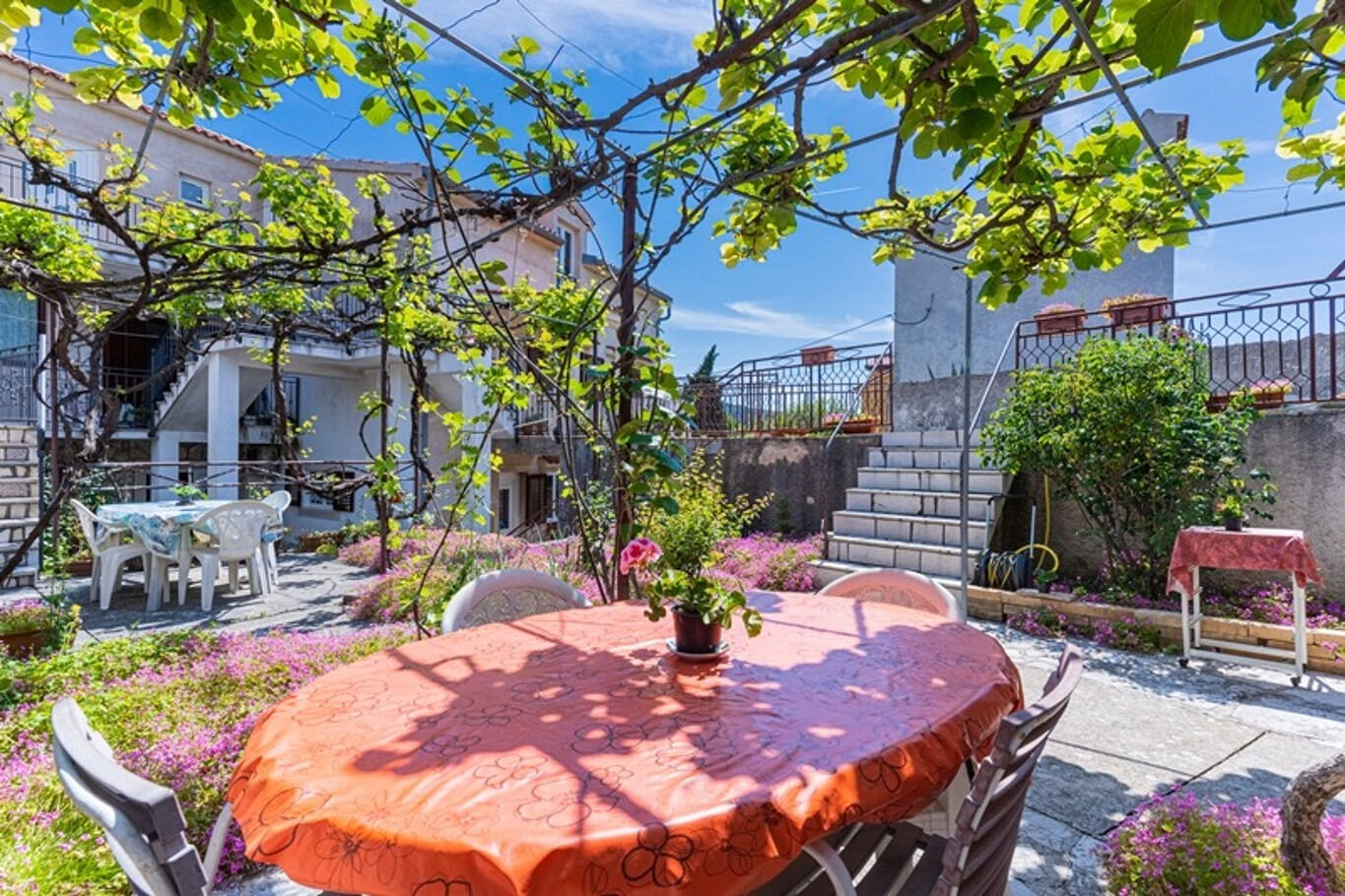 Apartment Mici 1 10393-A2
