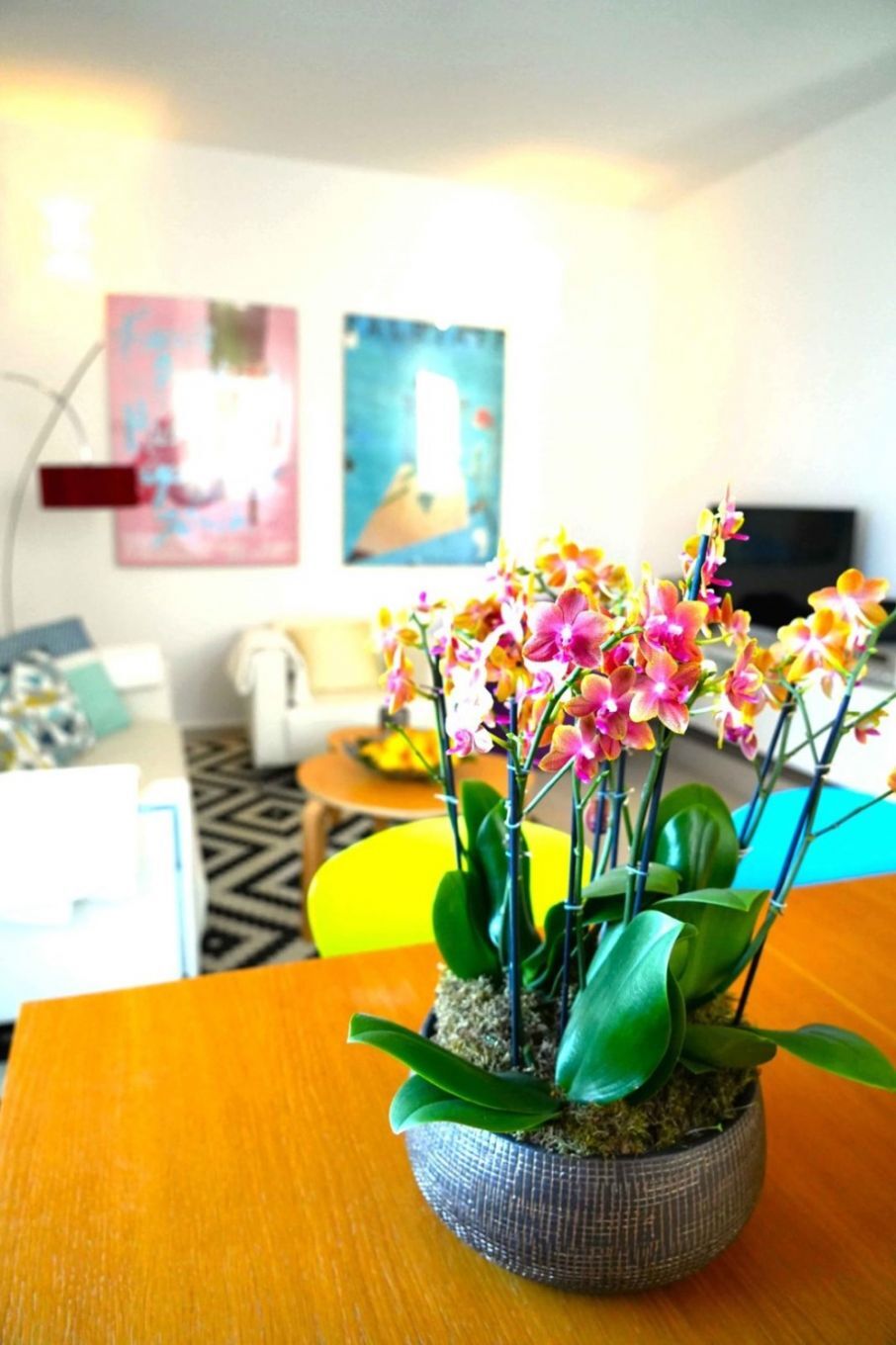 Apartments Apartmani Oh La La 112651-A1
