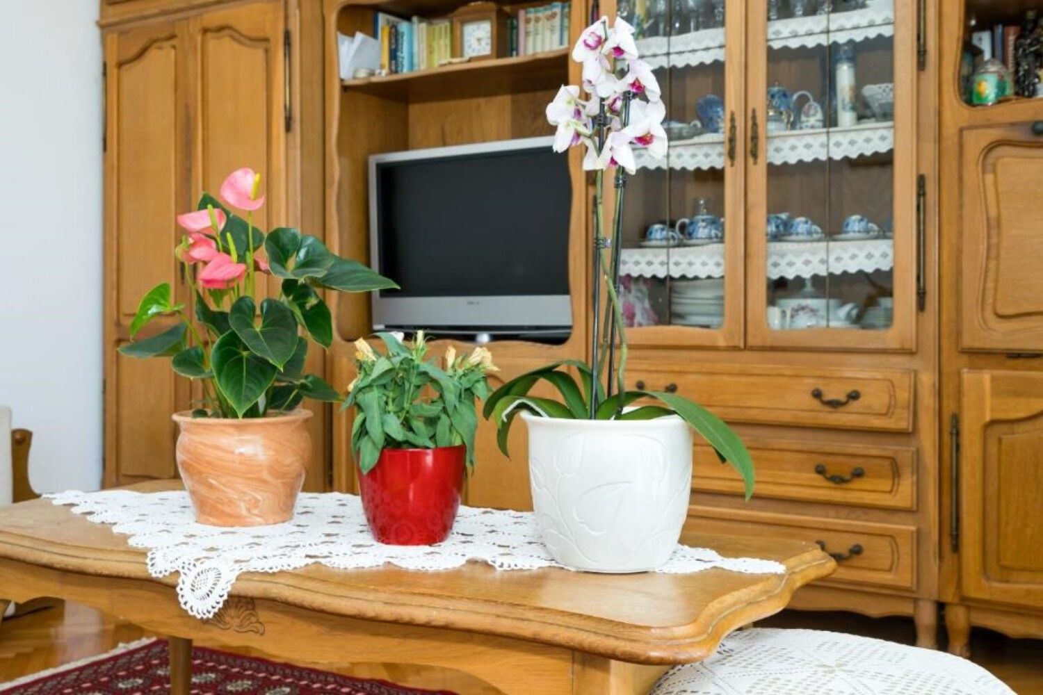 Apartment Željka 112691-A1