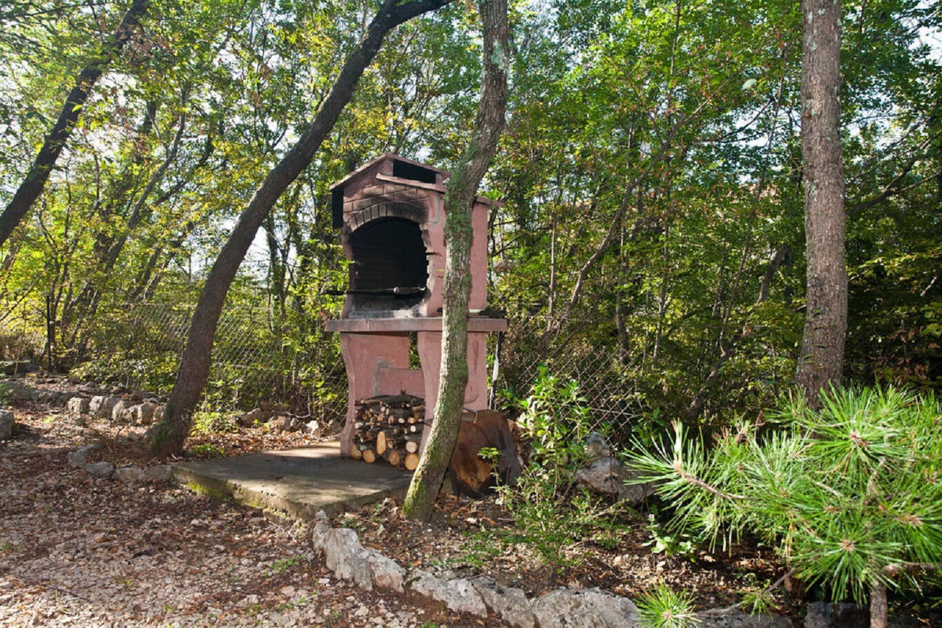 Photo of Apartments Miro