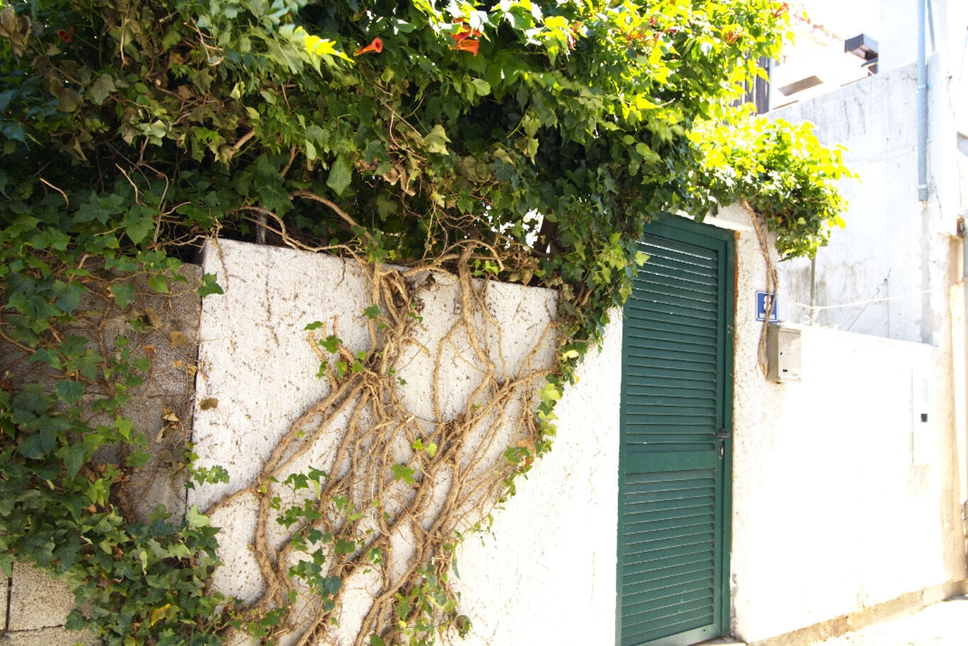 Apartment Andri 112791-A1