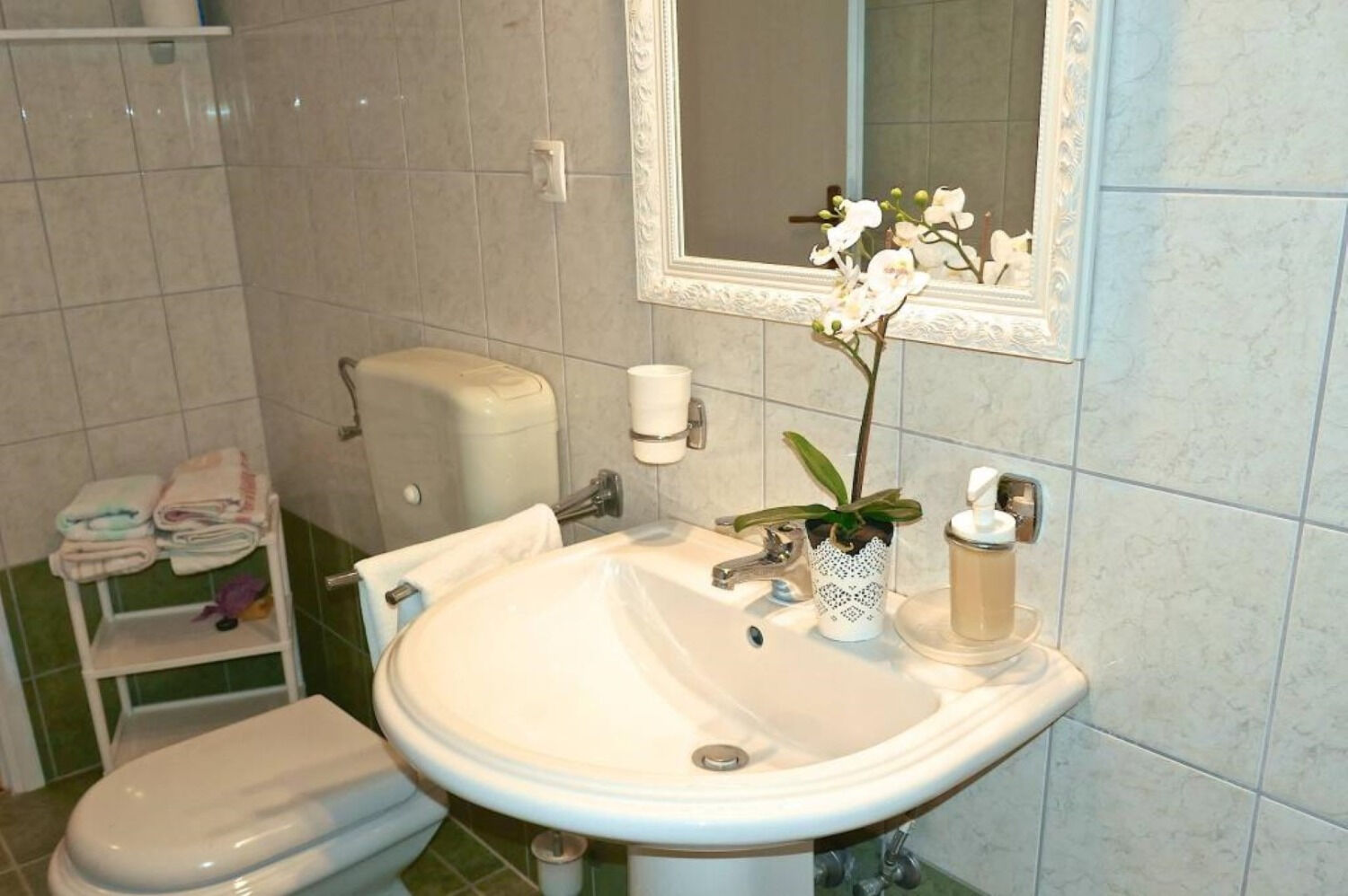 Apartments Dino 112921-A1