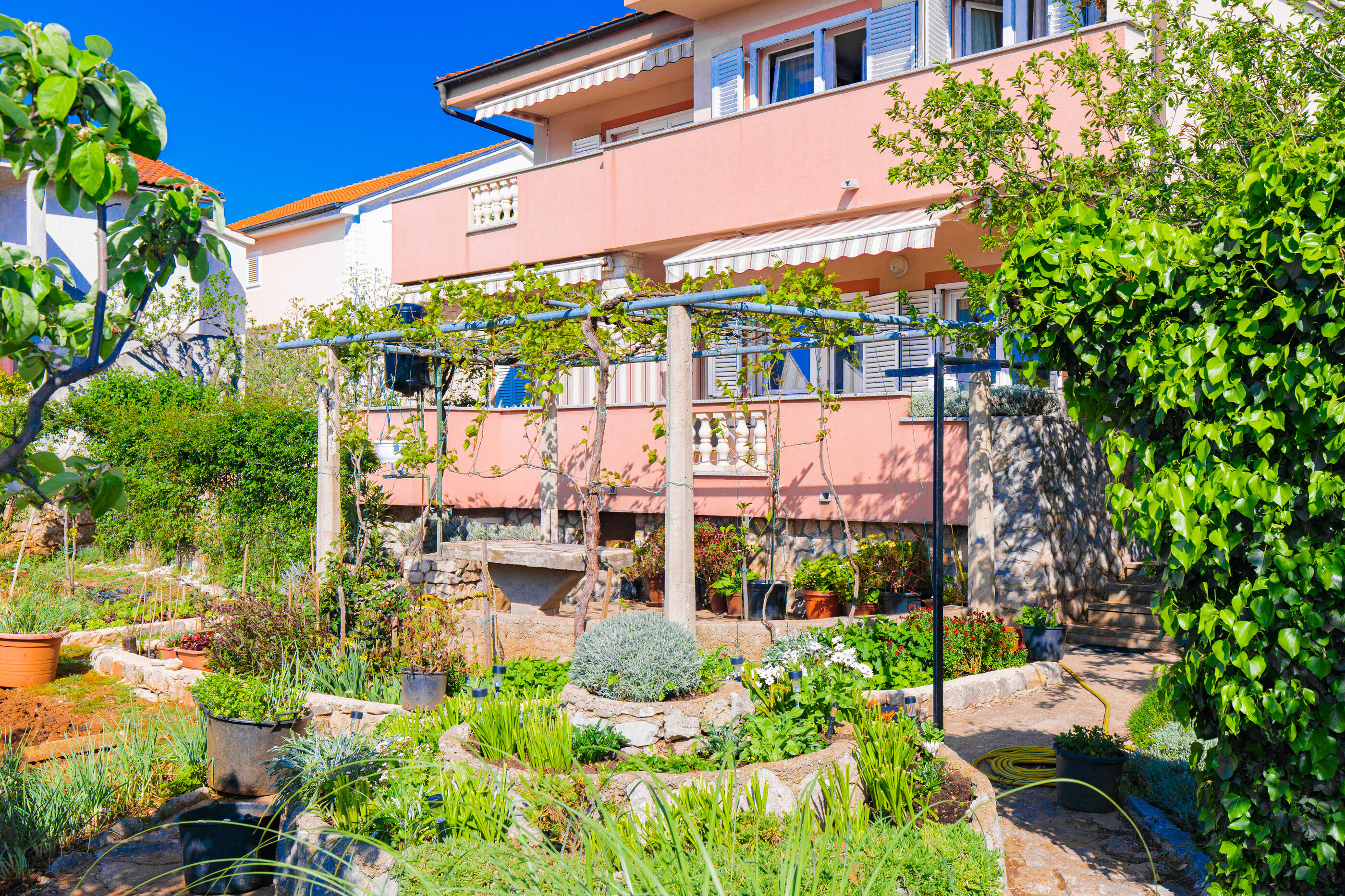 Apartment TODOR 15125-A1