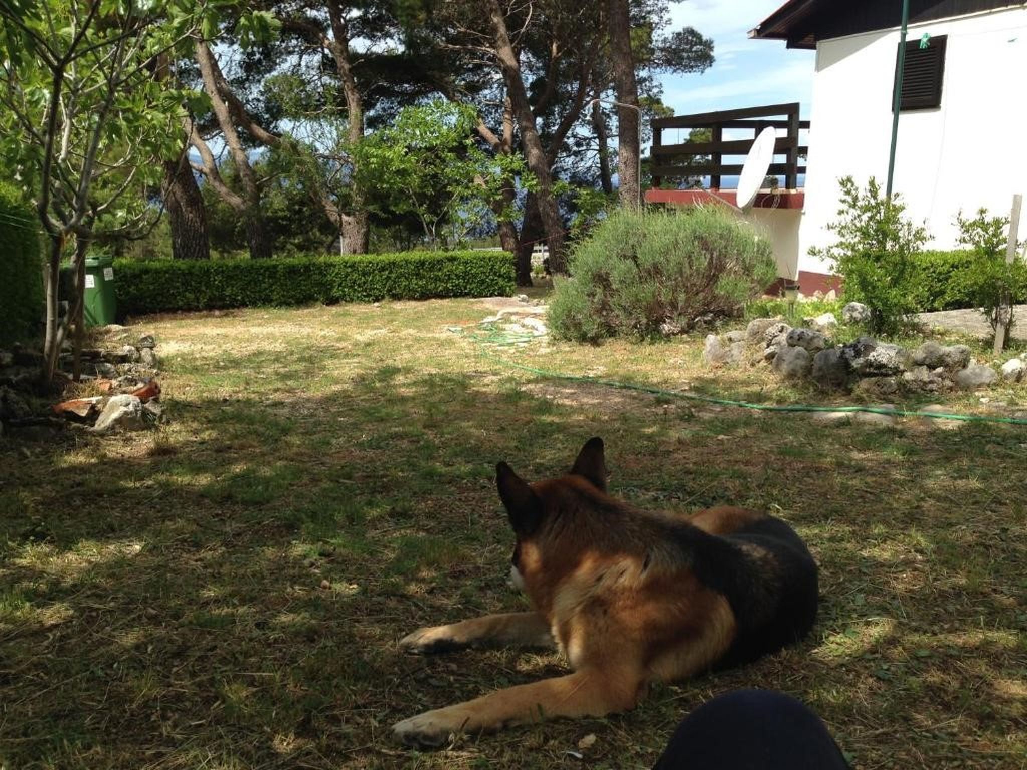 House Tia 113011-K1