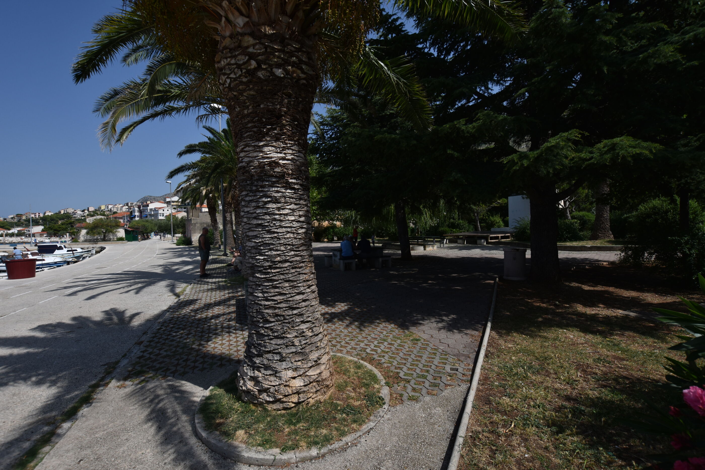 Apartment Panorama 101821-A1