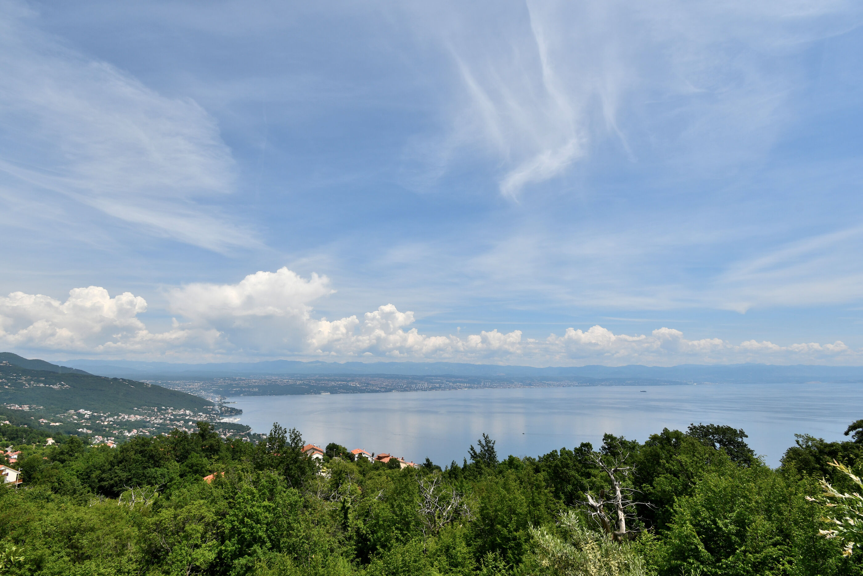 Photo of Apartments Rita