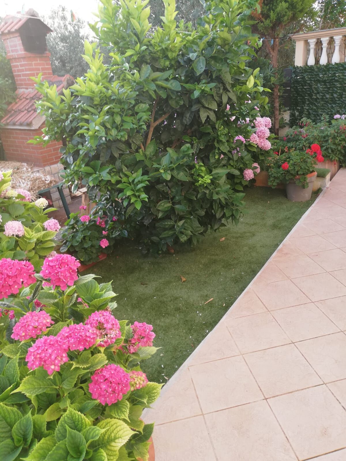 Apartment Pavin 113151-A1