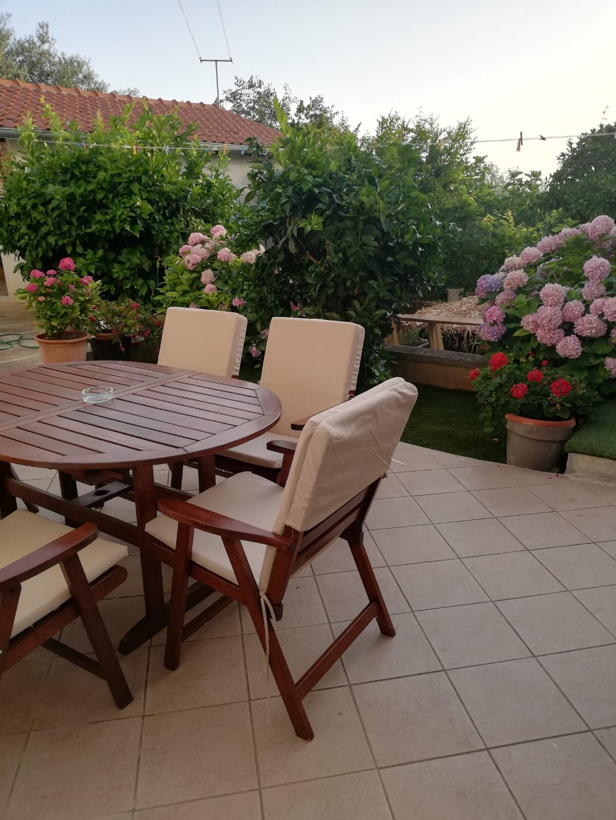 Apartment Pavin 113151-A1
