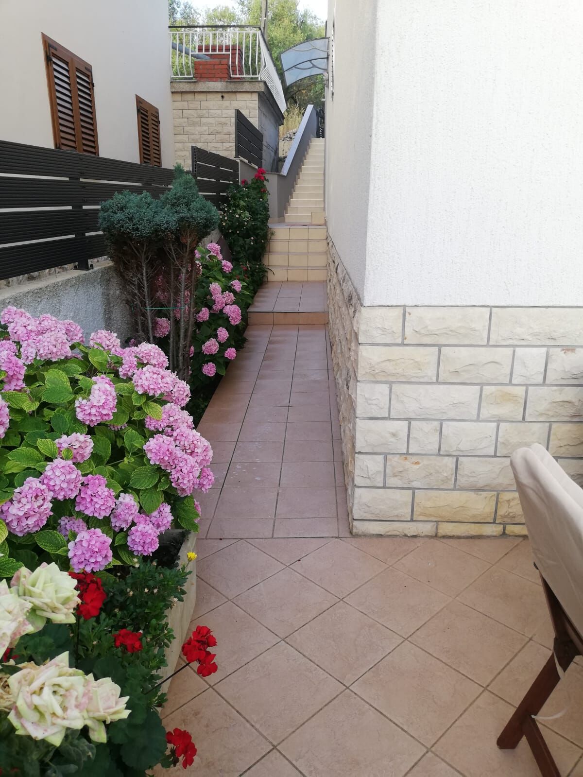 Apartment Pavin 113151-A1