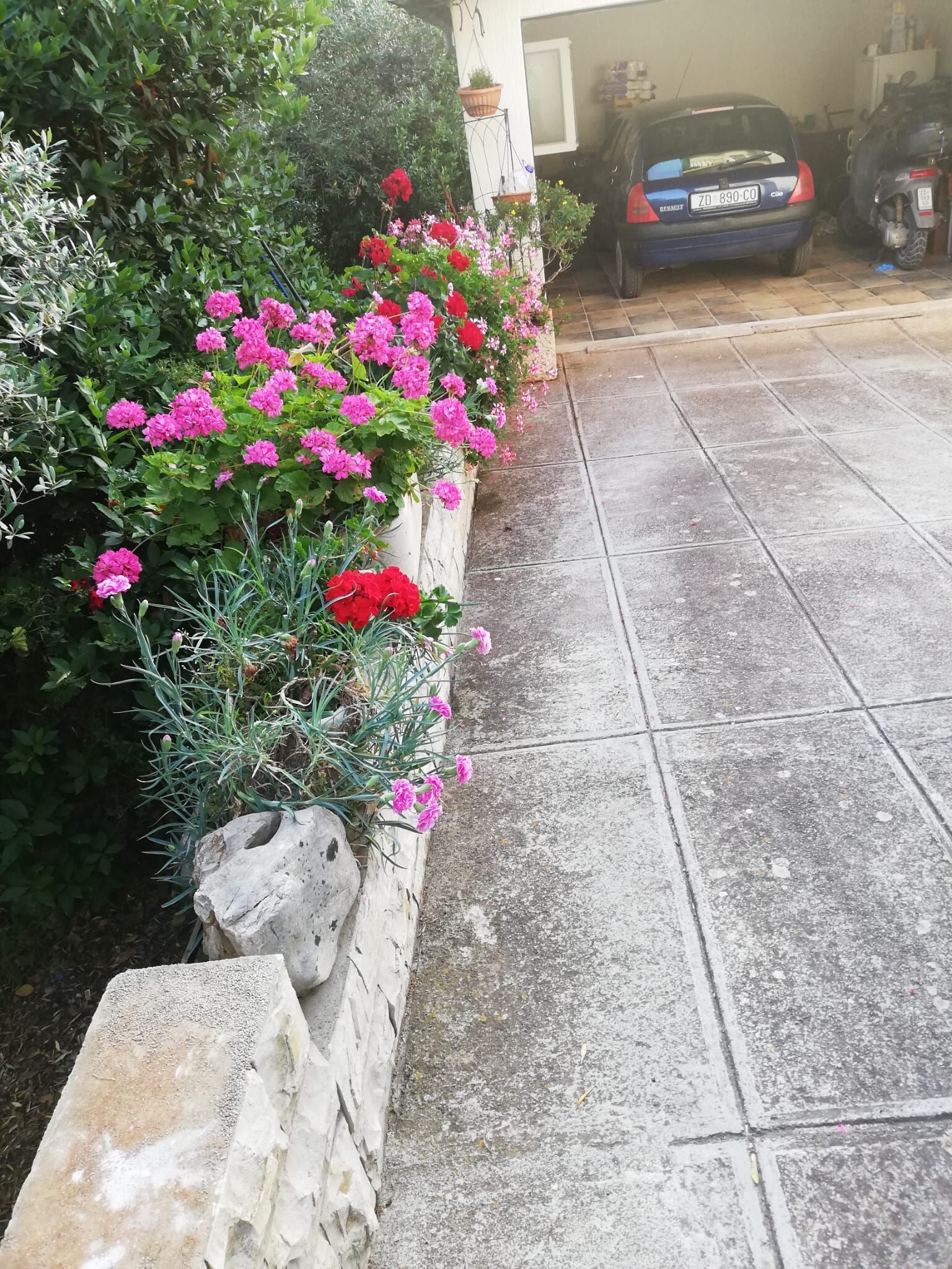 Apartment Pavin 113151-A1