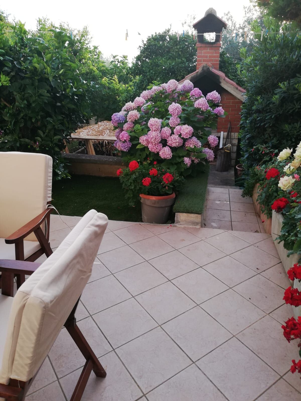 Apartment Pavin 113151-A1