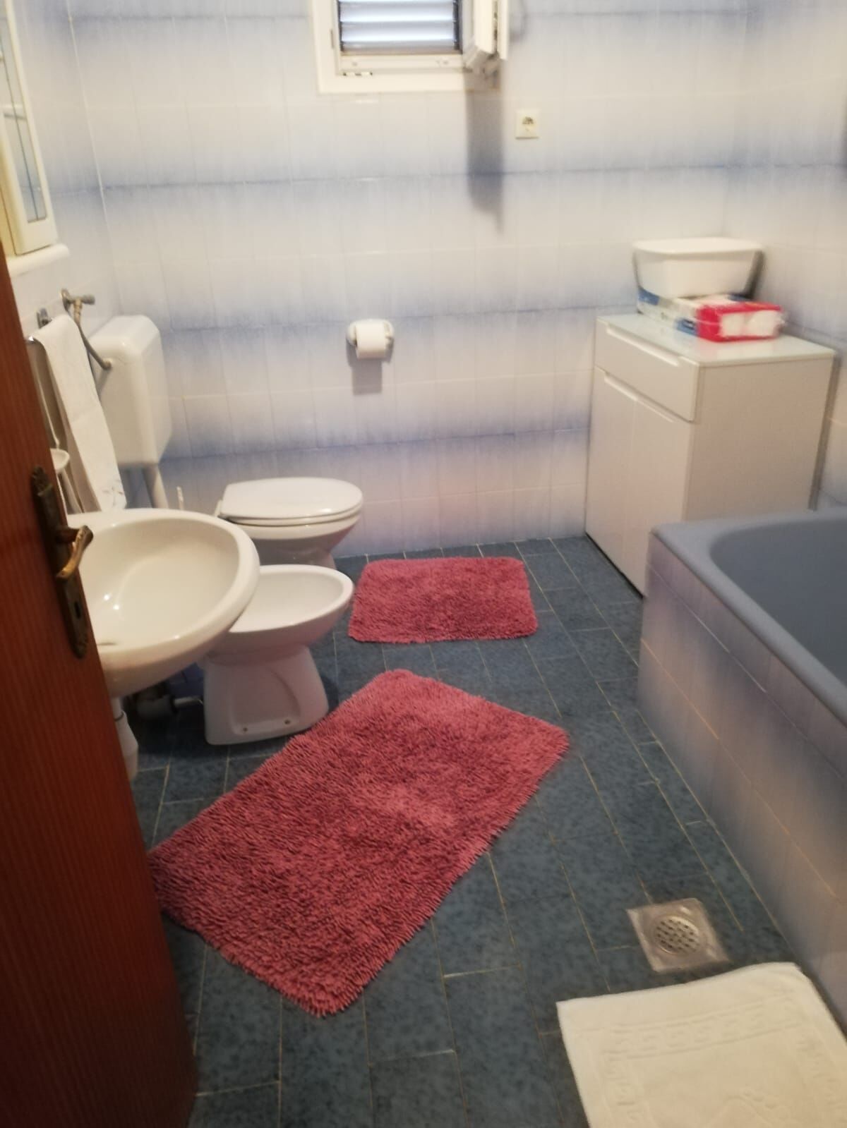 Apartment Pavin 113151-A1