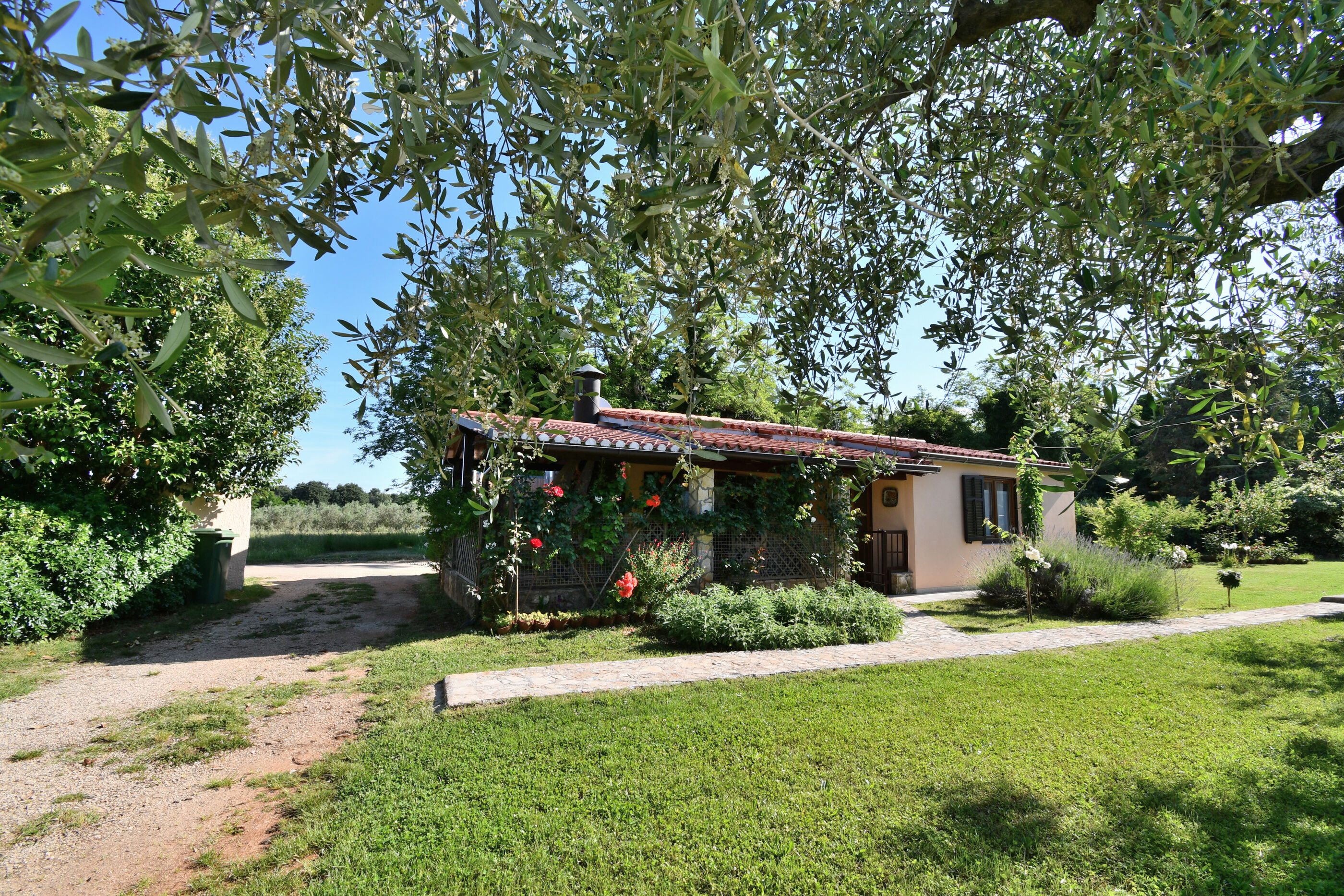 House Ariella Accommodation in Umag