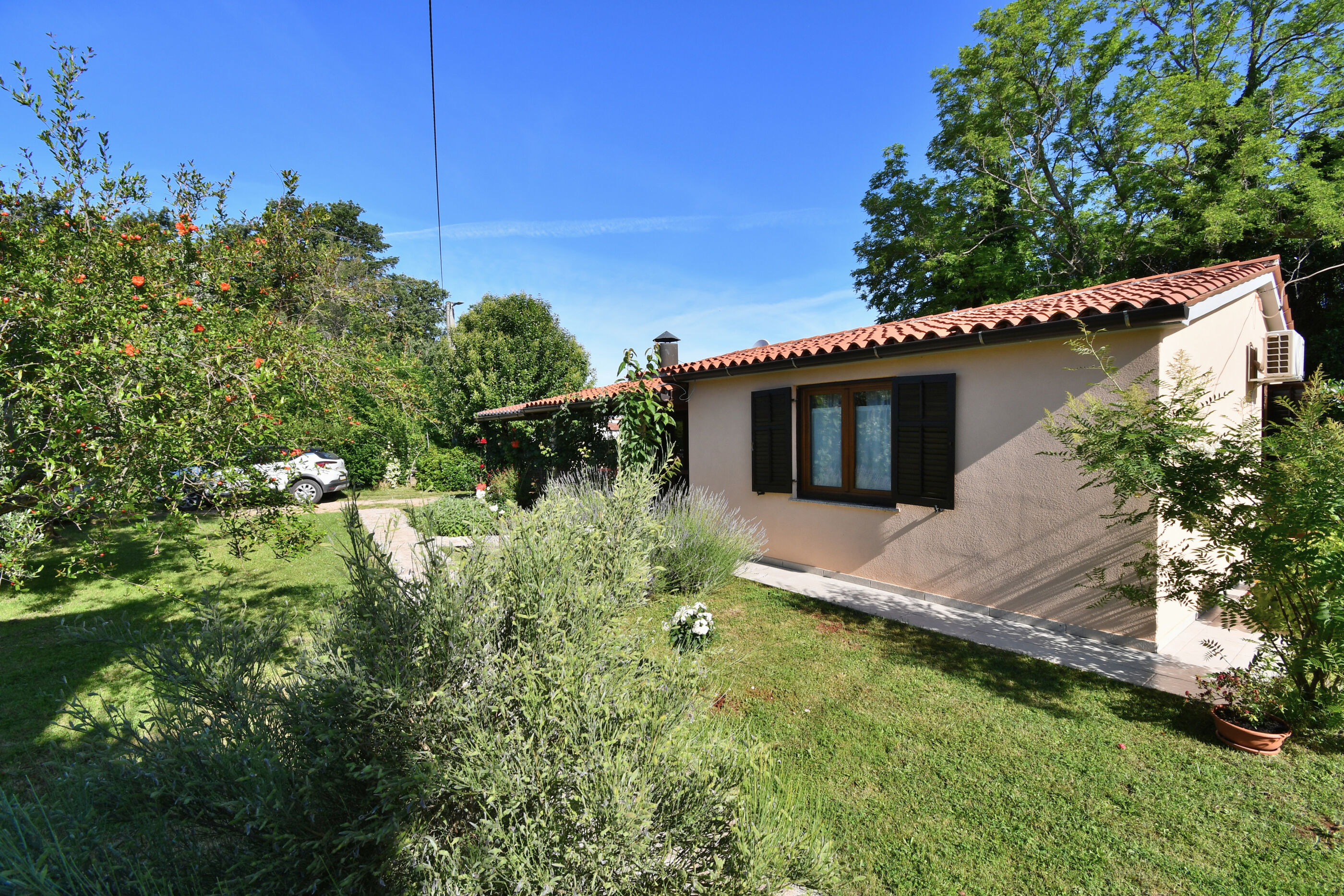 Photo of House Ariella