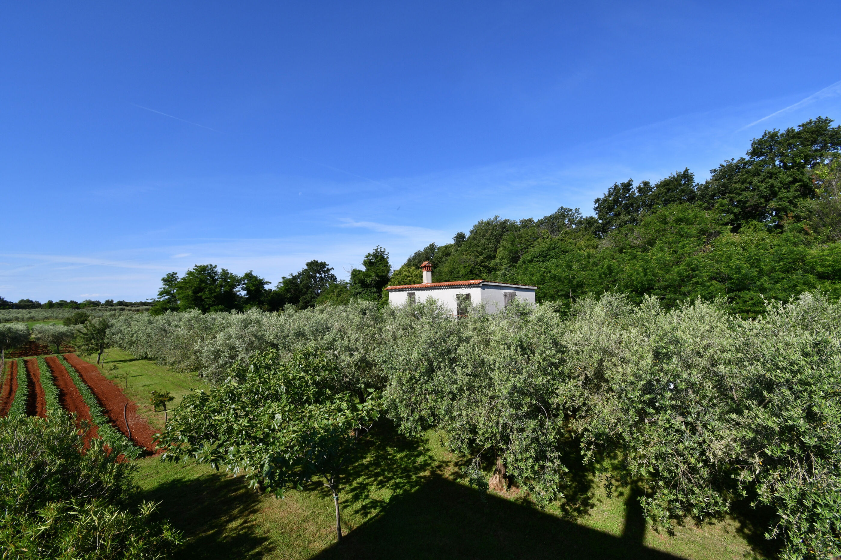 Photo of House Ariella