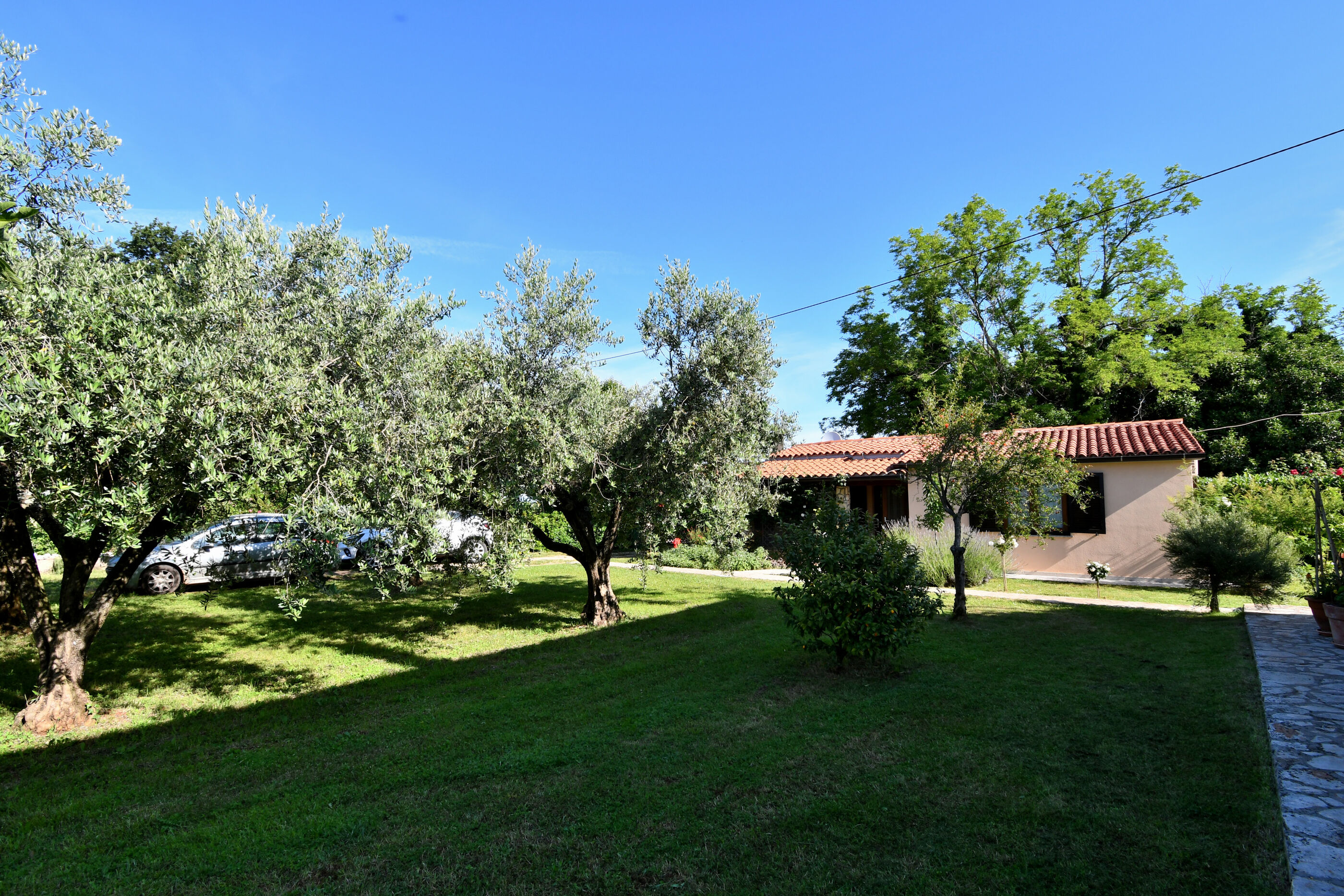 House Ariella 113191-K1