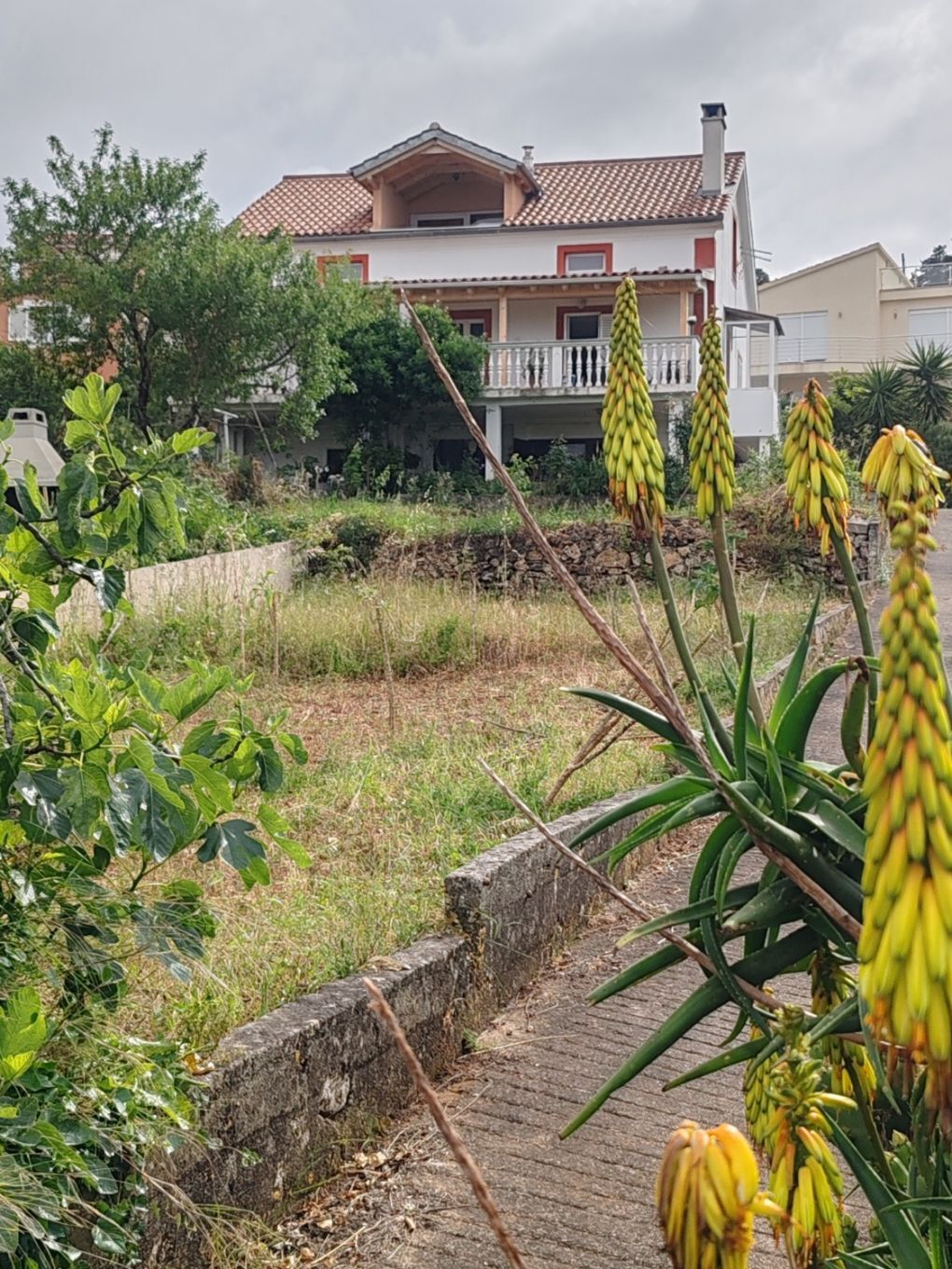 Apartments Darka 106051-A2