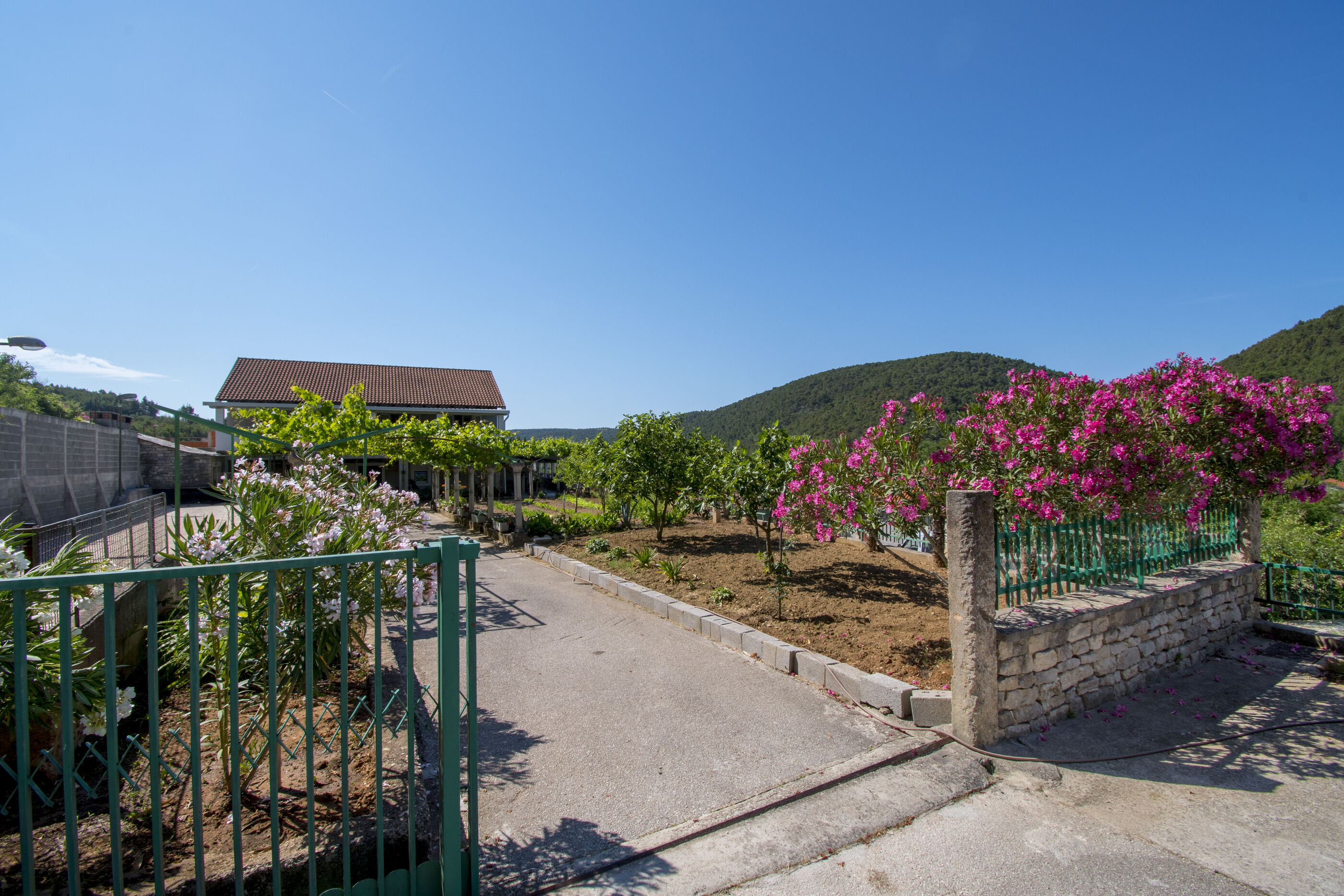 Apartment Luka 87821-A1