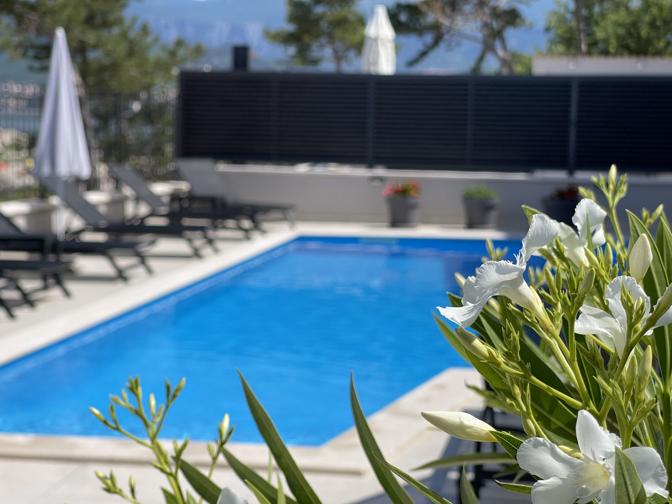 Villa Punta Silo - luksuzni apartmani 63777-A13