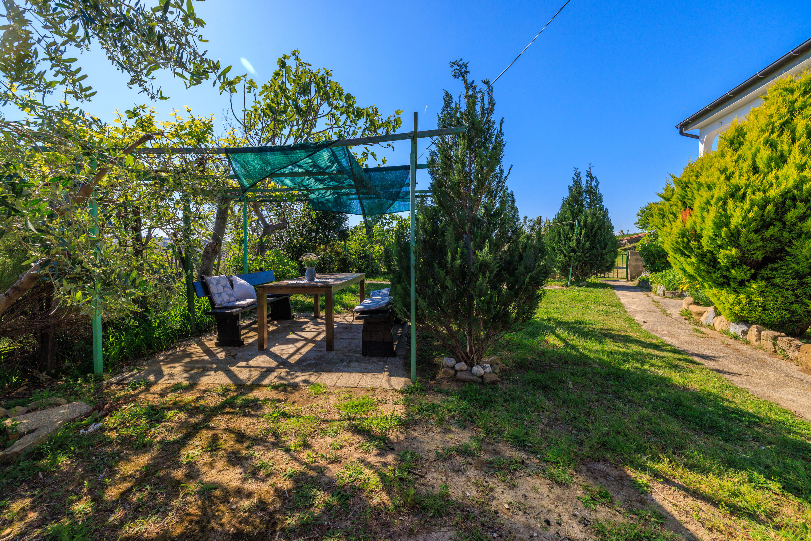 Photo of Apartments Ivan