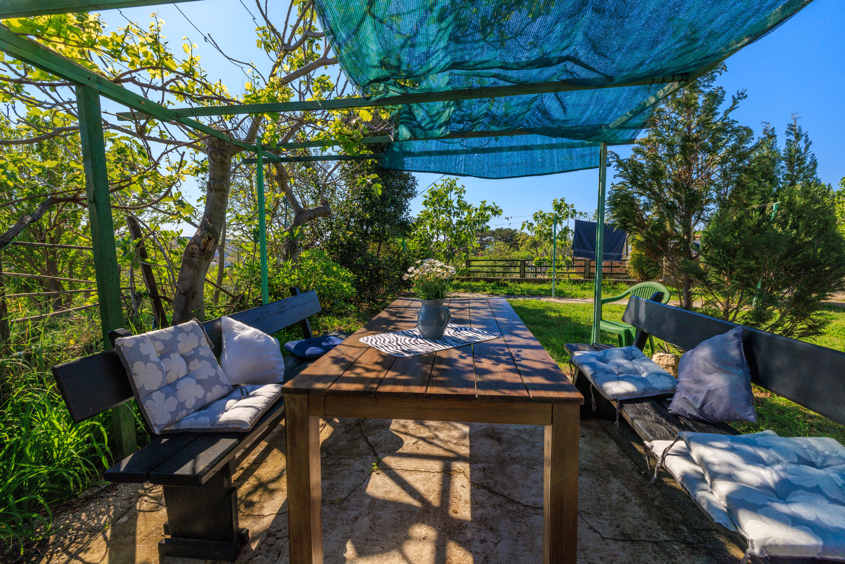 Photo of Apartments Ivan