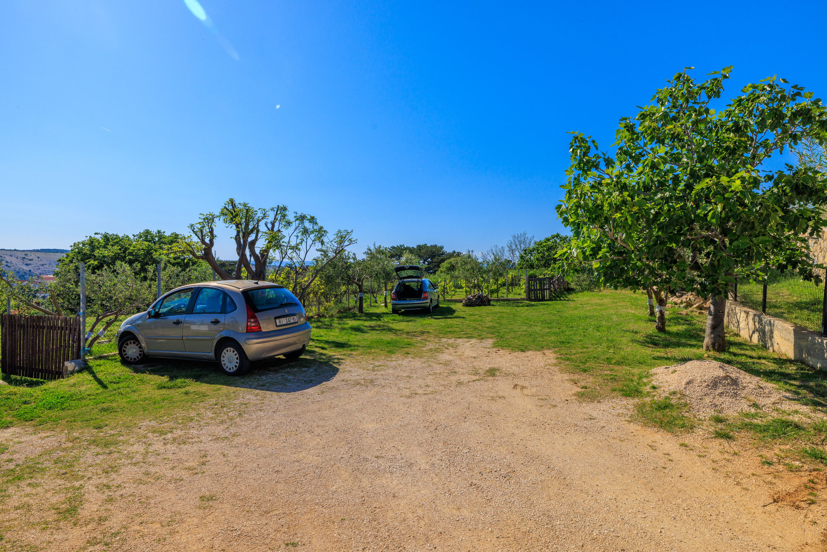 Photo of Apartments Ivan