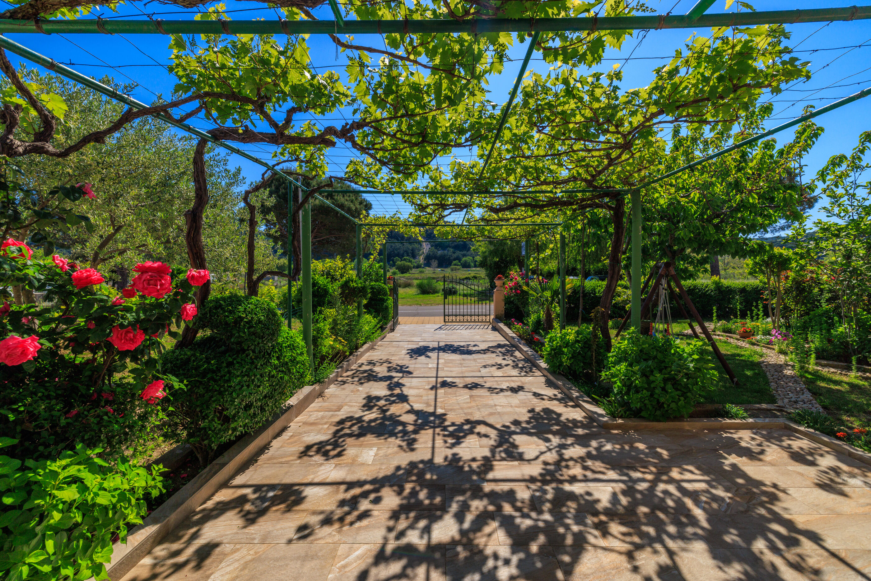 Photo of Apartments Ivan C