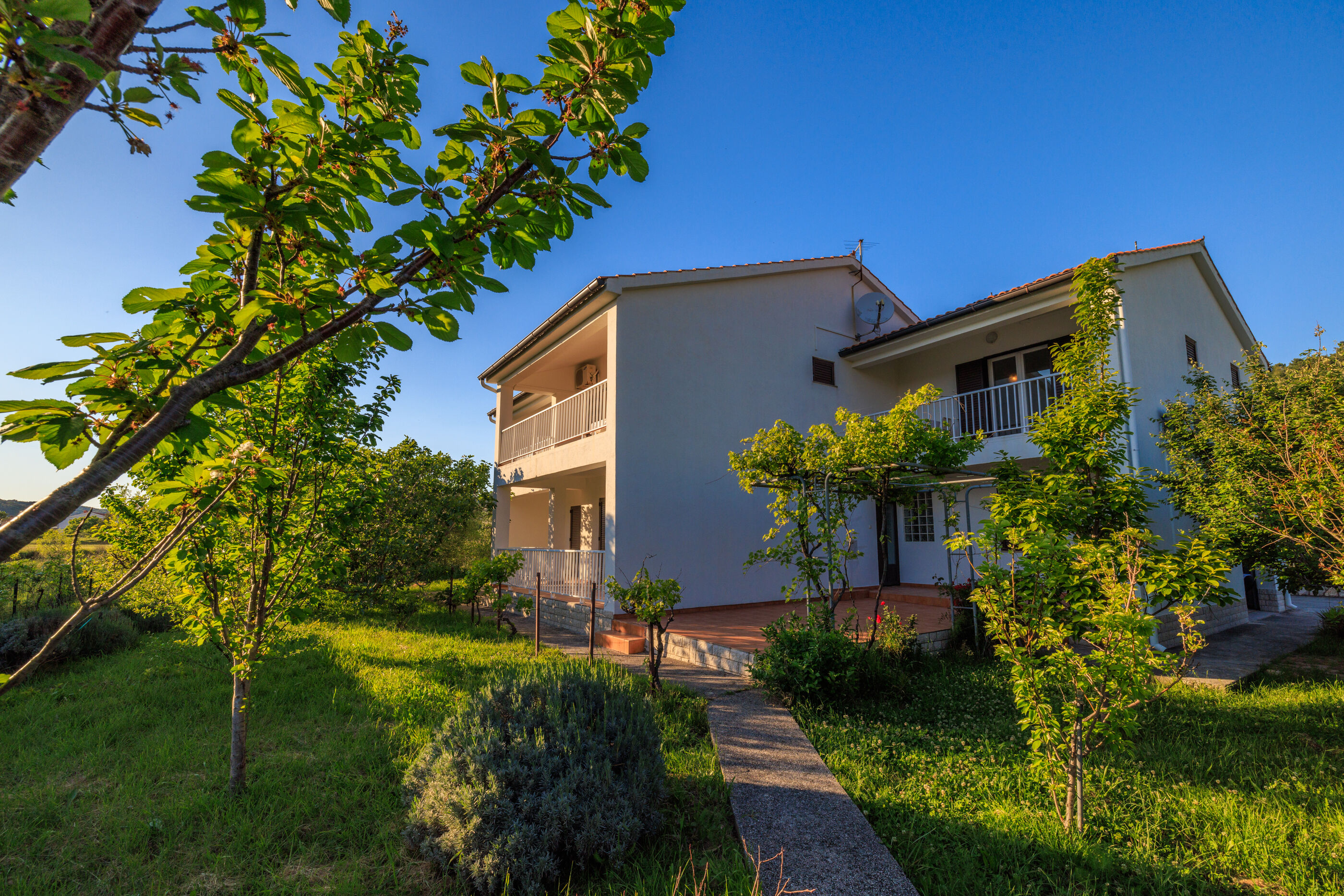 Apartments Biserka 65371-A2
