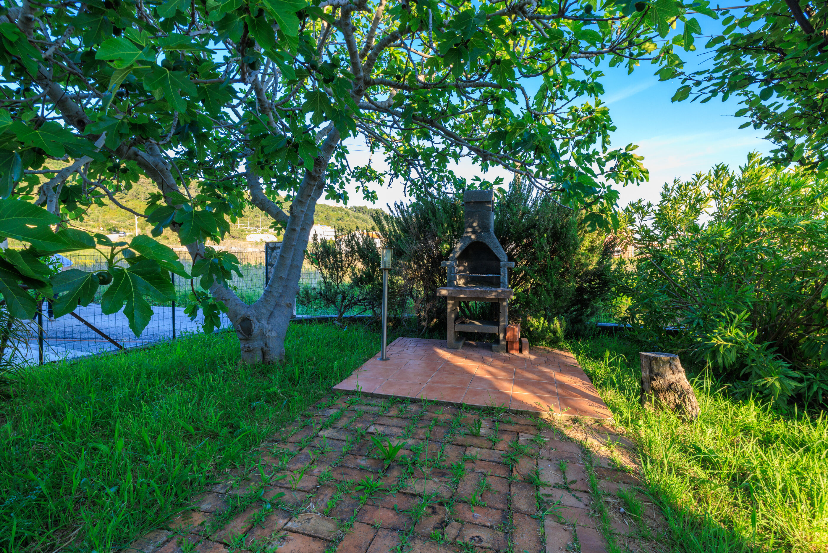 Photo of Apartments Biserka