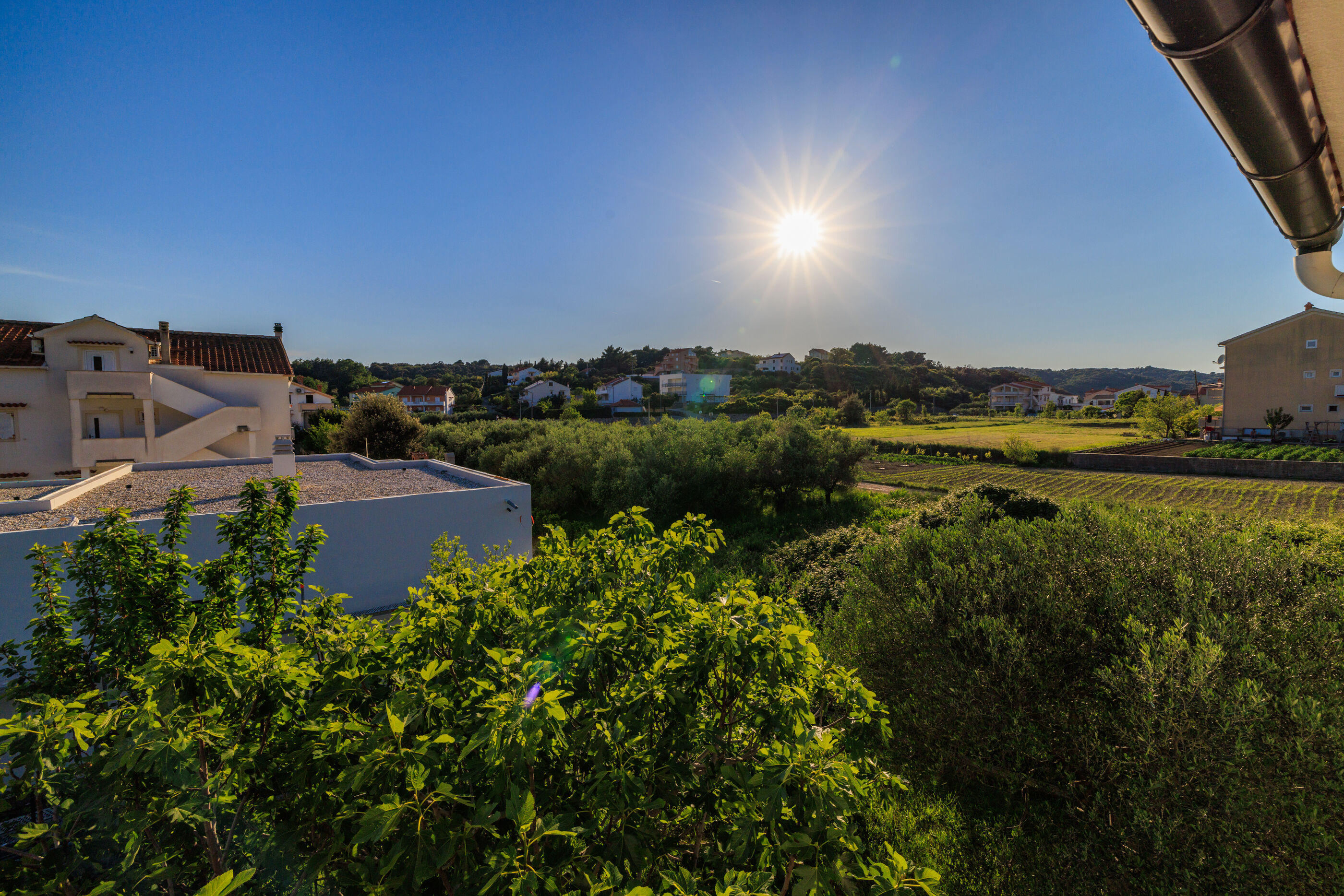 Apartments Biserka 65371-A3