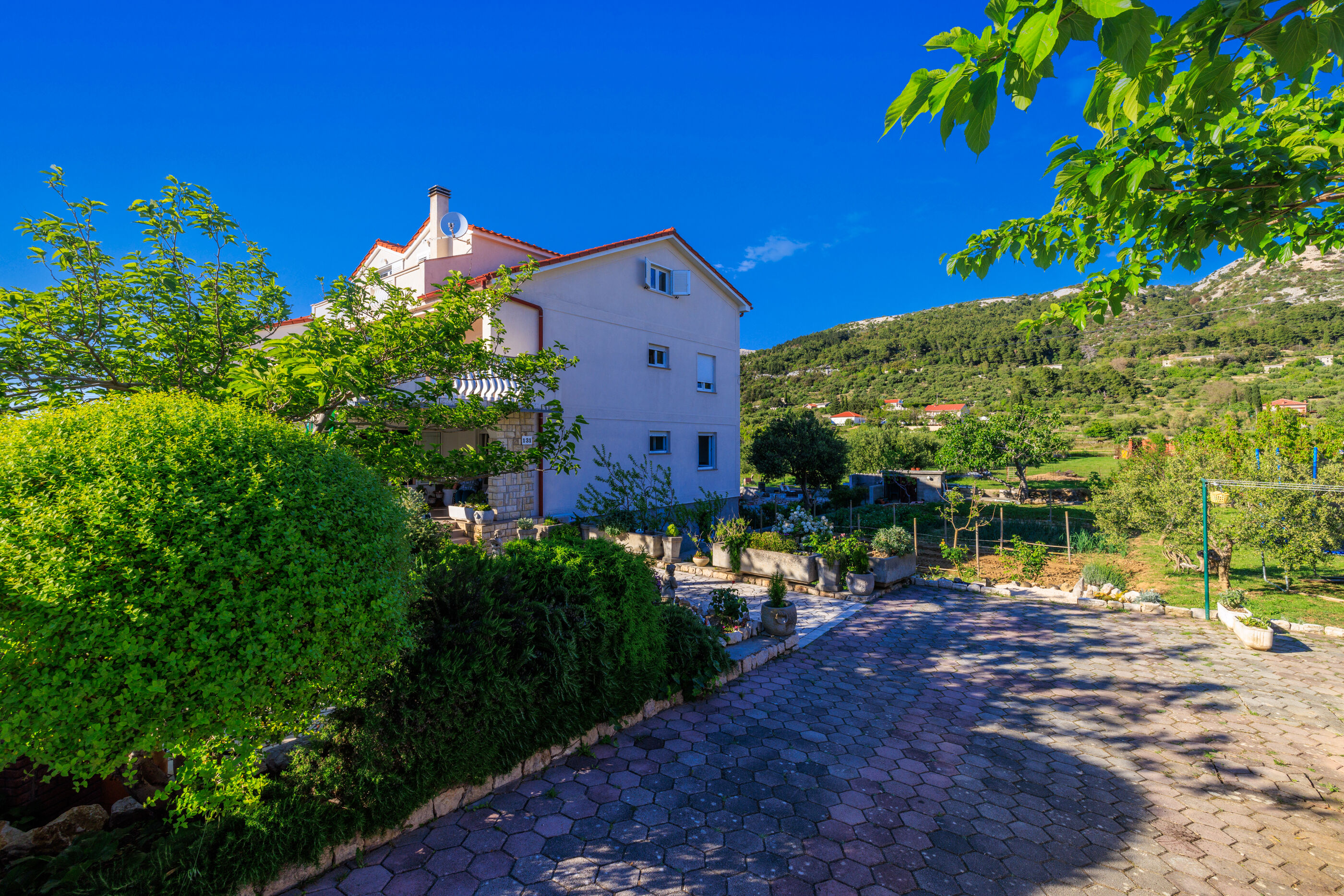 Photo of Apartment Marina