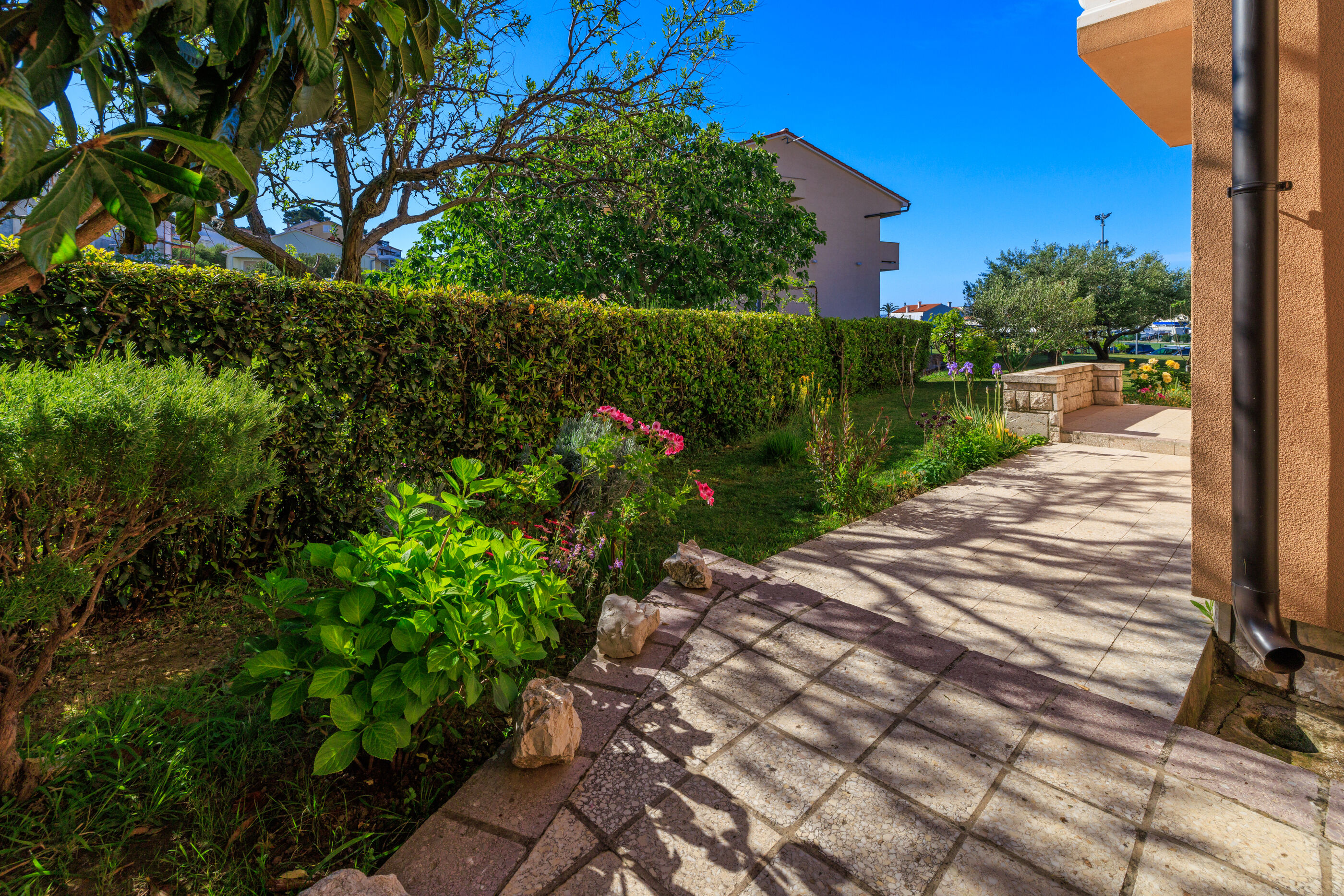 Photo of Apartment Zdravka