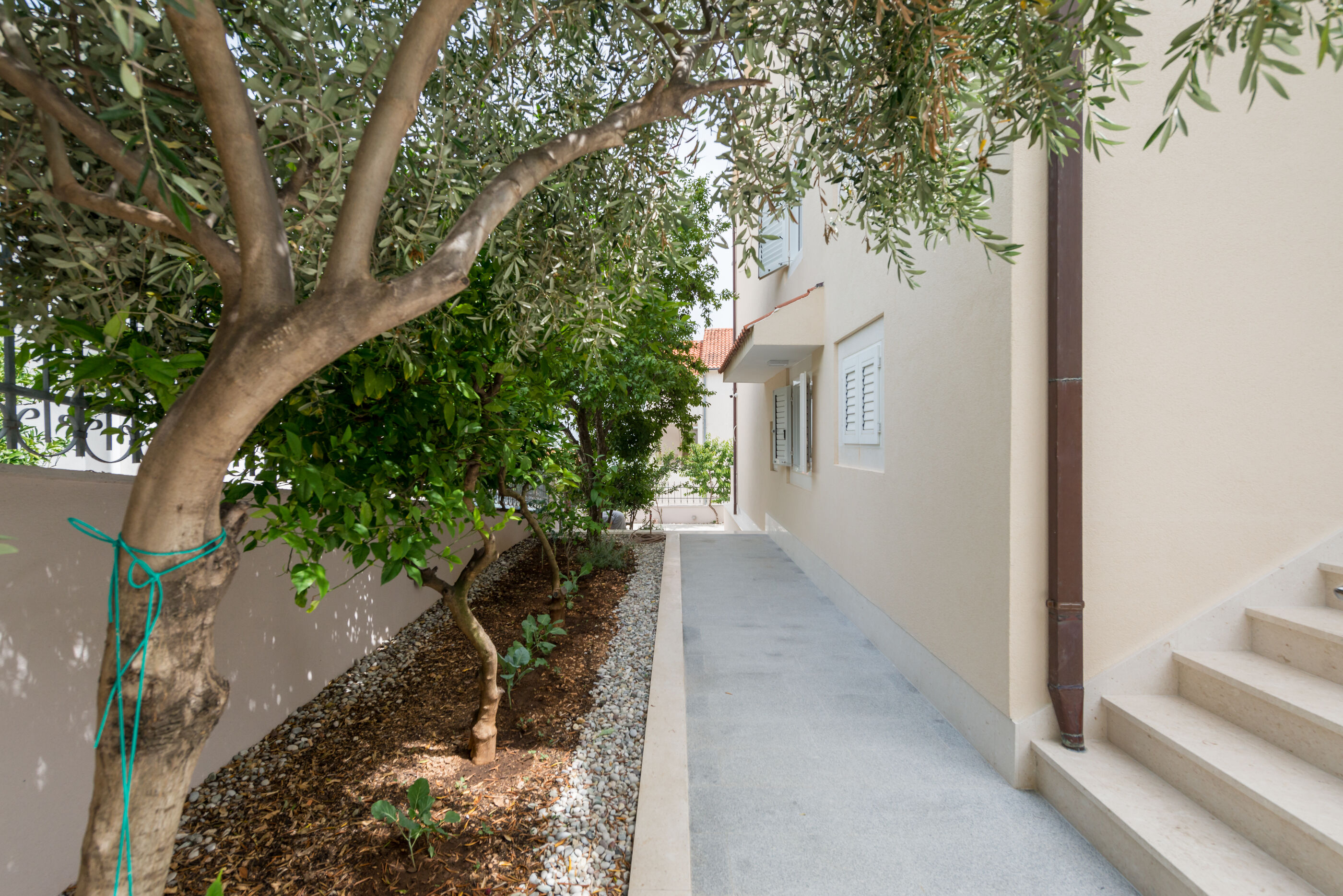 Apartments Ivan 113241-A2