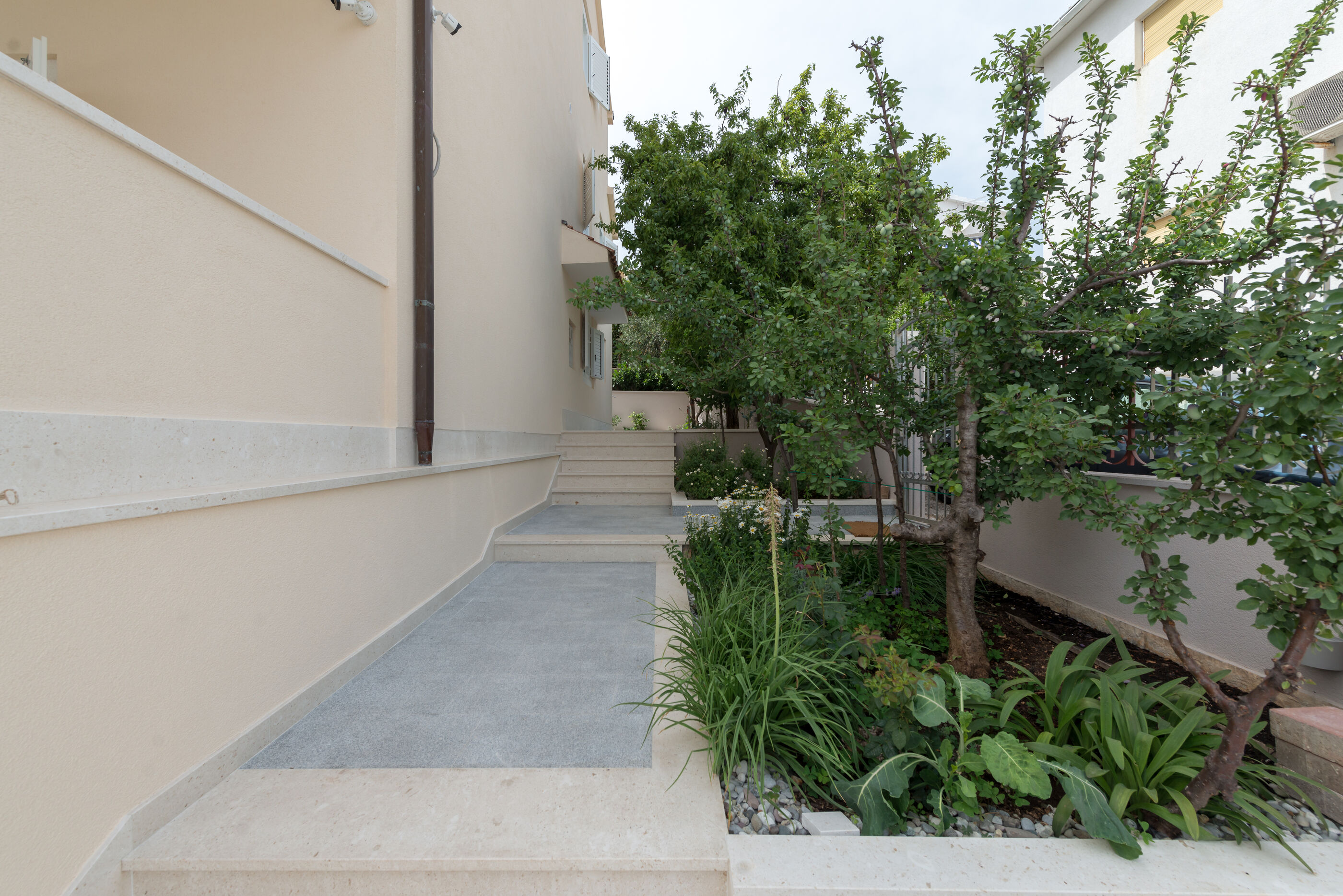 Apartments Ivan 113241-A2