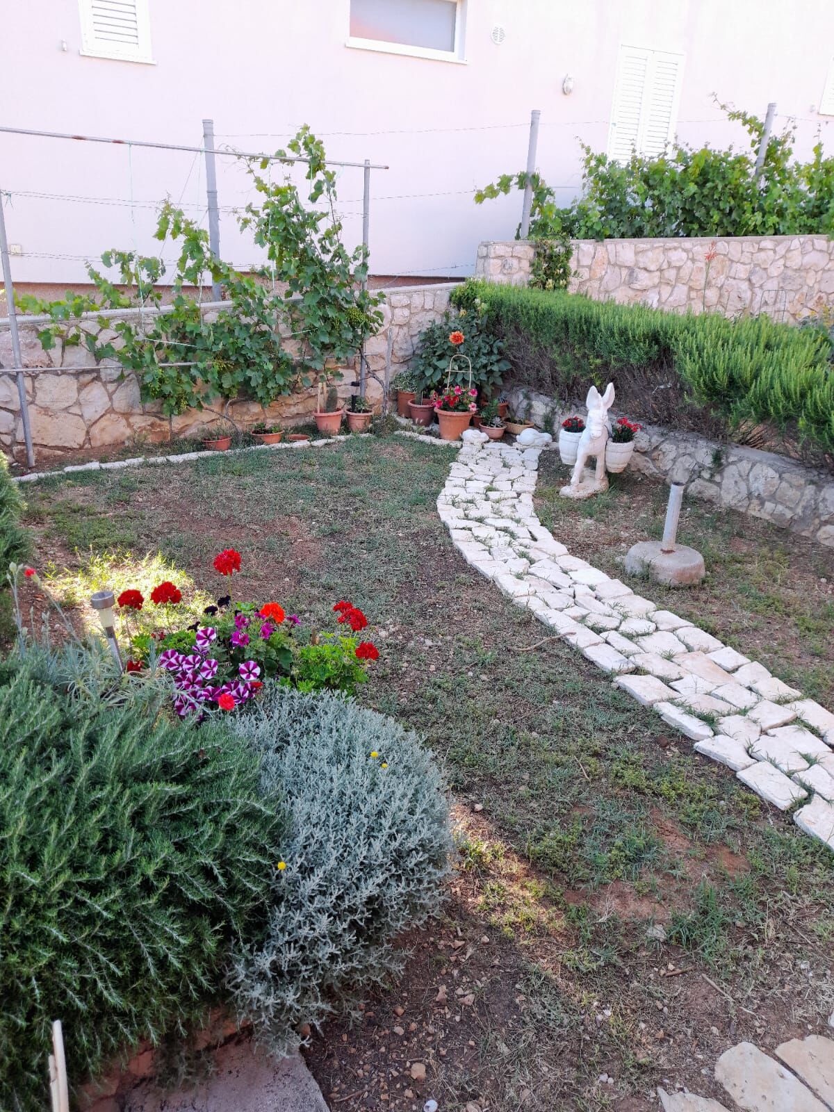 Apartment Dubravka 25781-A1